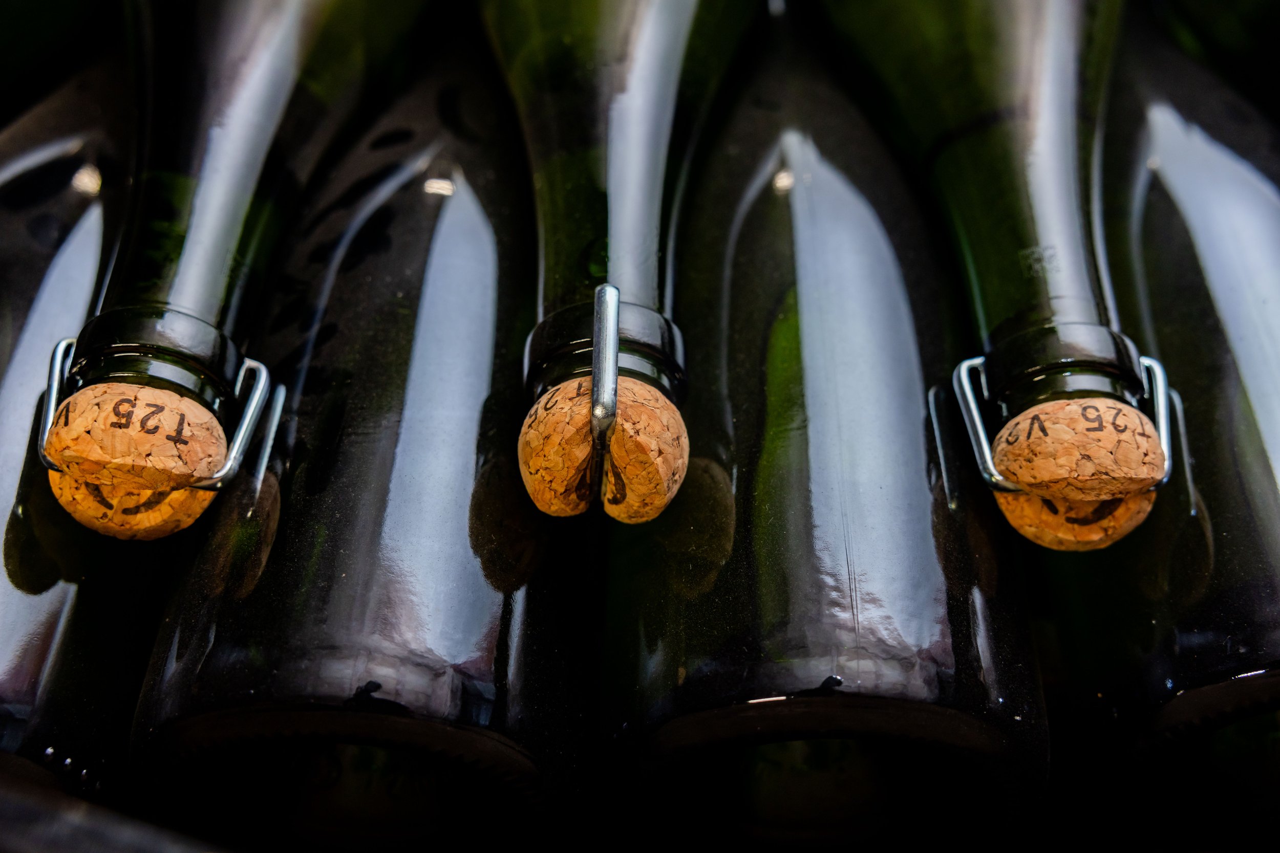 20251022_Champagnerreise_404_.jpeg