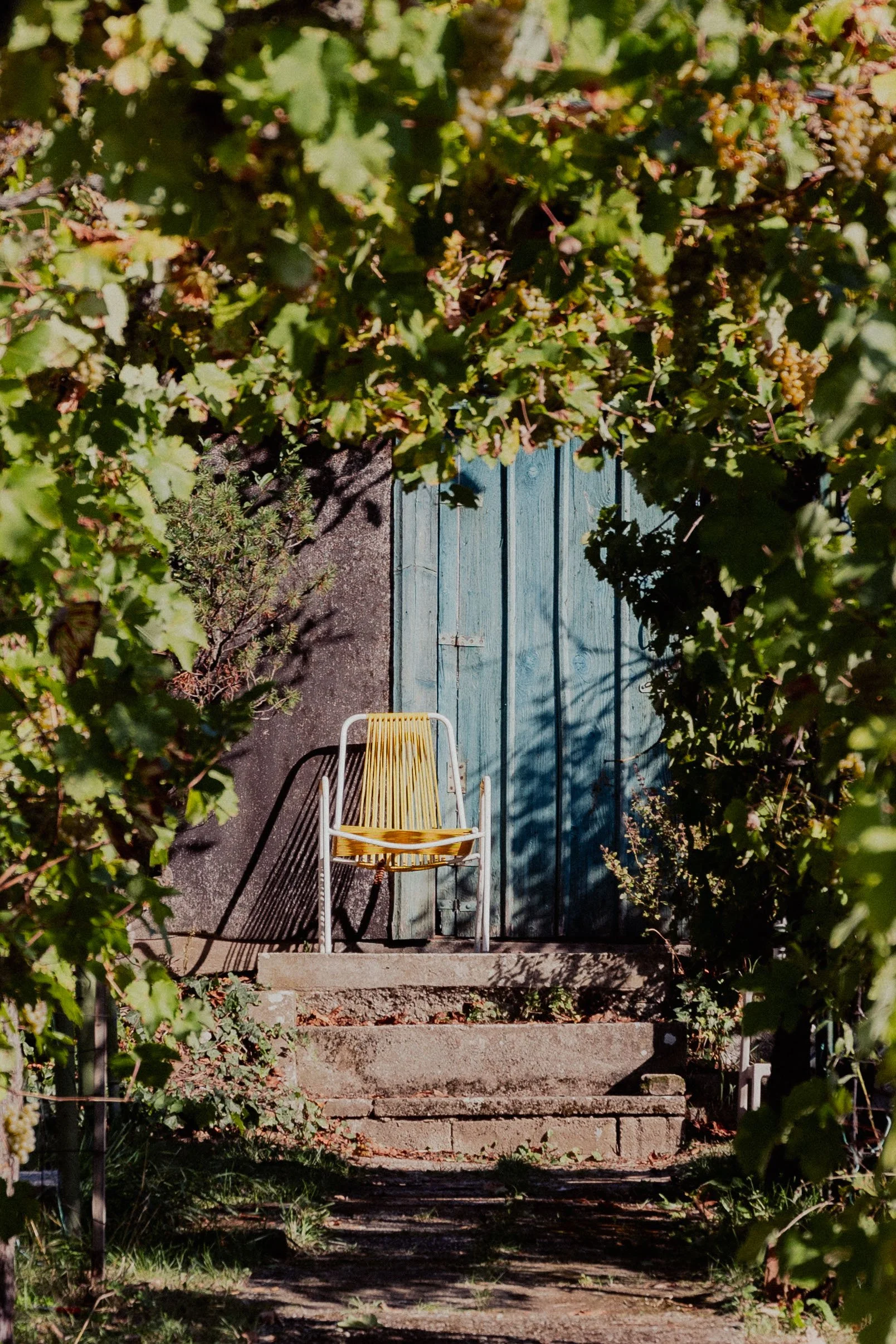 20230928_Weinlese Secret Garden_121.jpeg