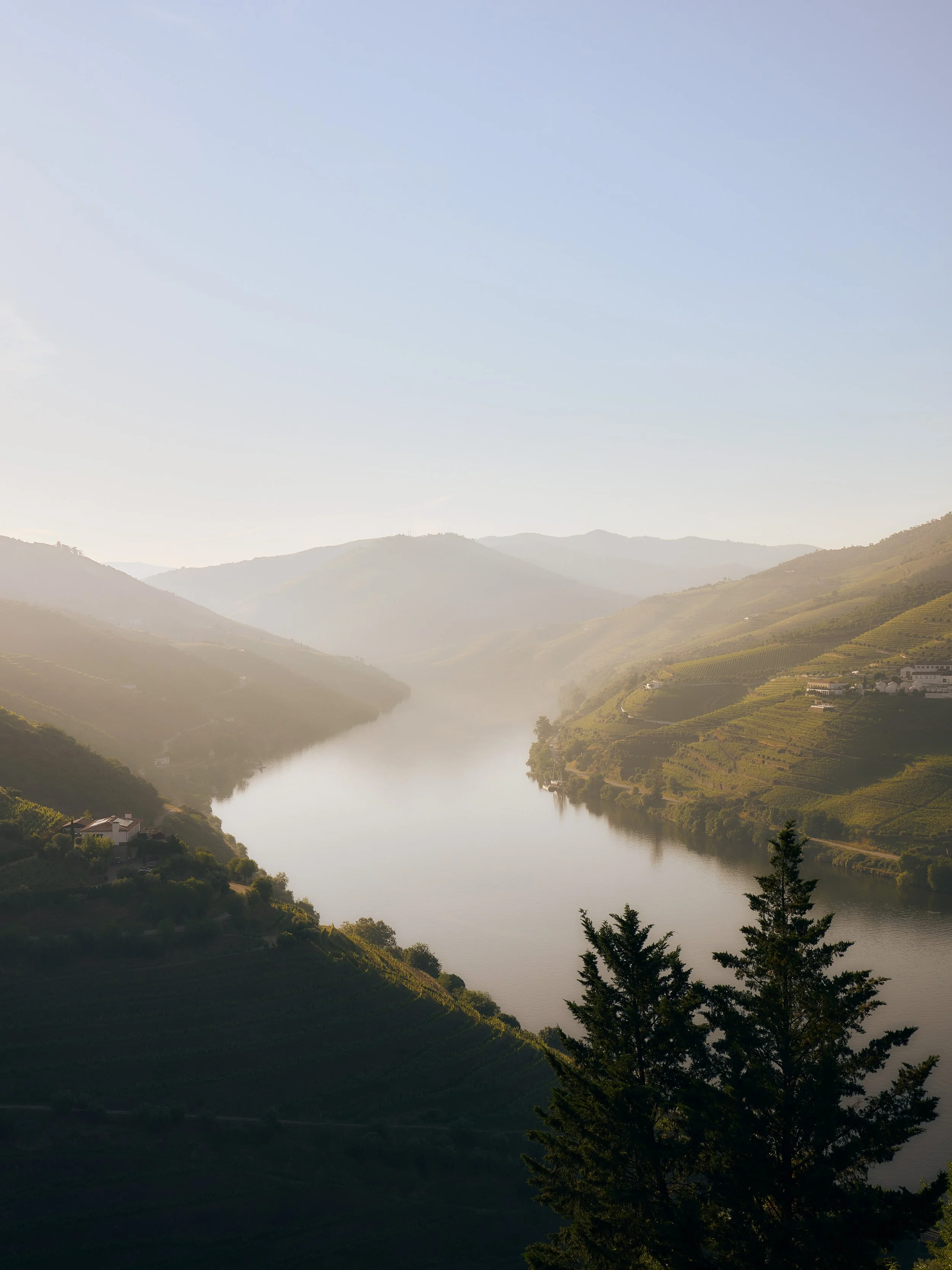 Douro Boys Privado Wine Travel