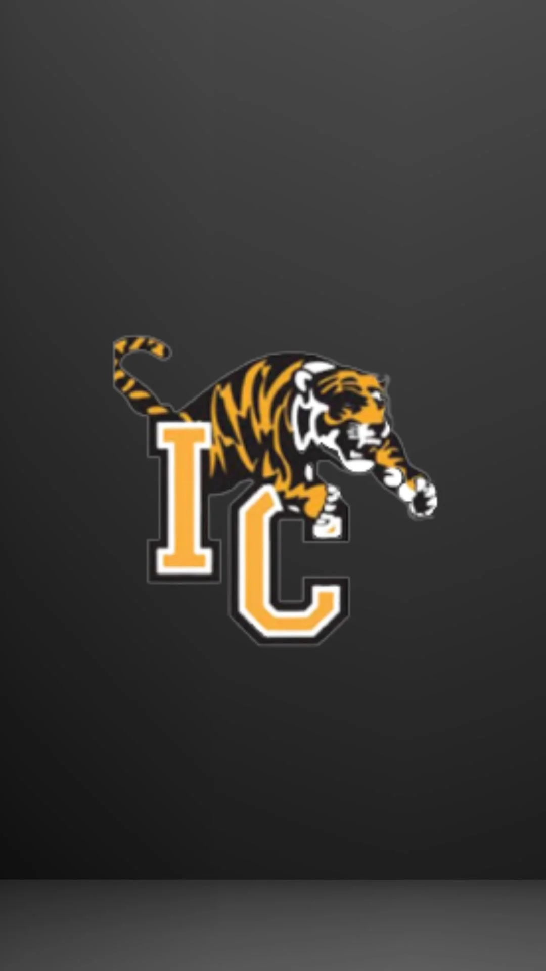 Irving College Elementary Fall Photos