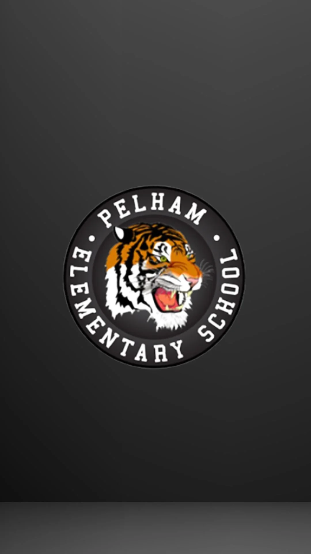 Pelham Elementary Sports Photos