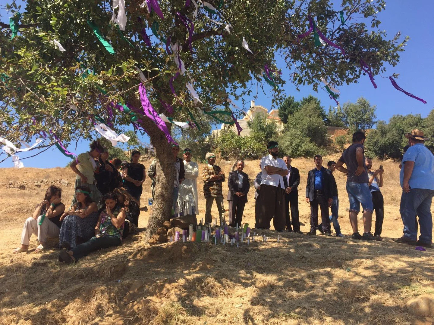the-aok-tree-4.jpeg