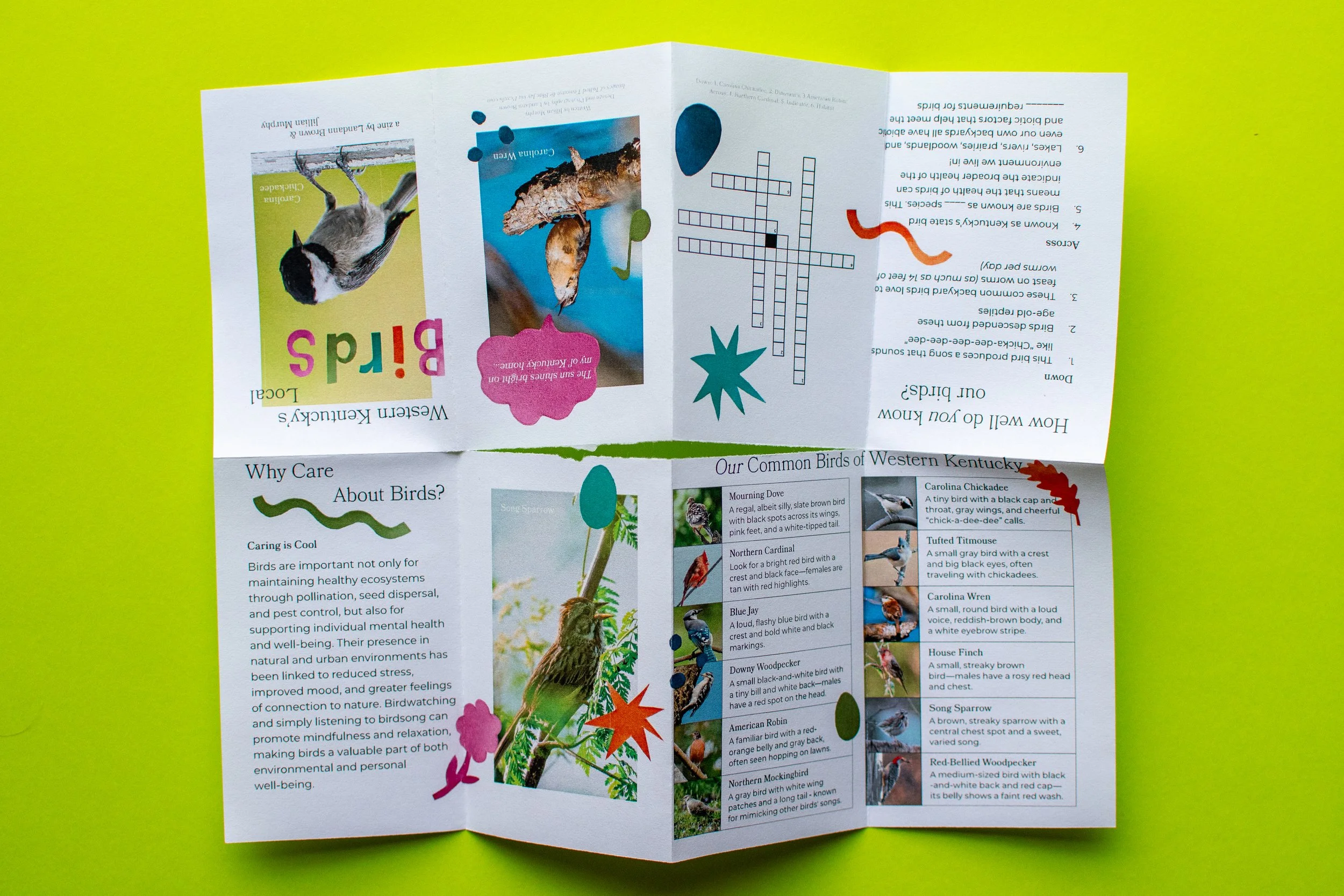 Kentucky Birds Zine