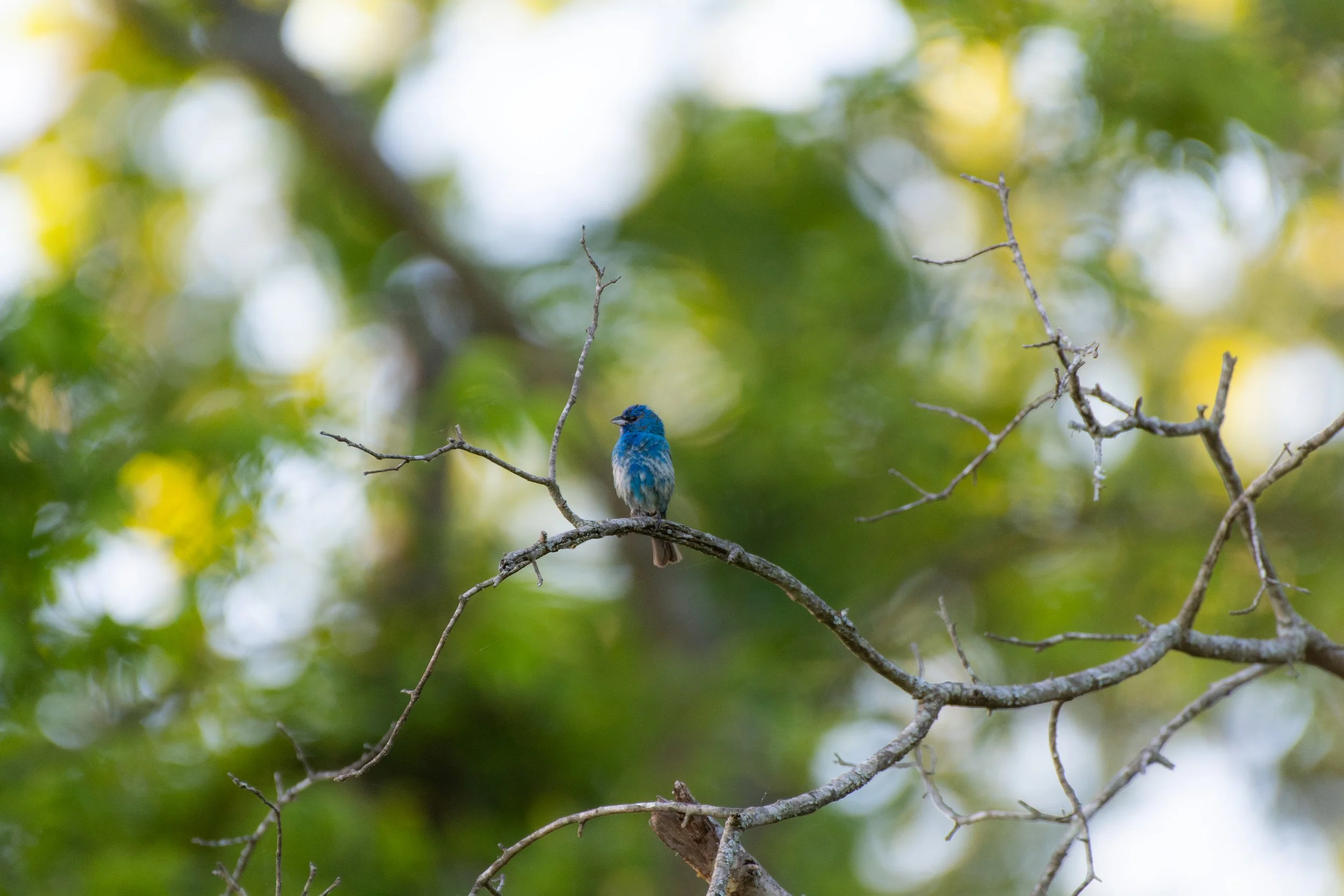 DSC_0081.jpg