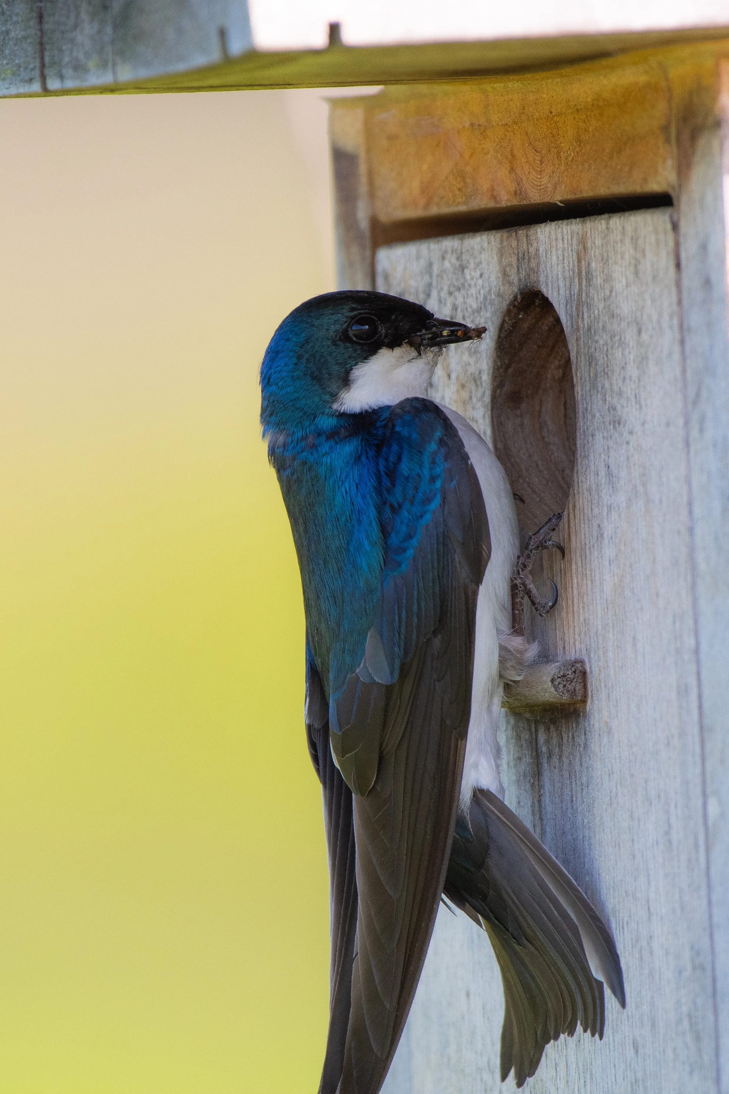 DSC_0011-2.jpg