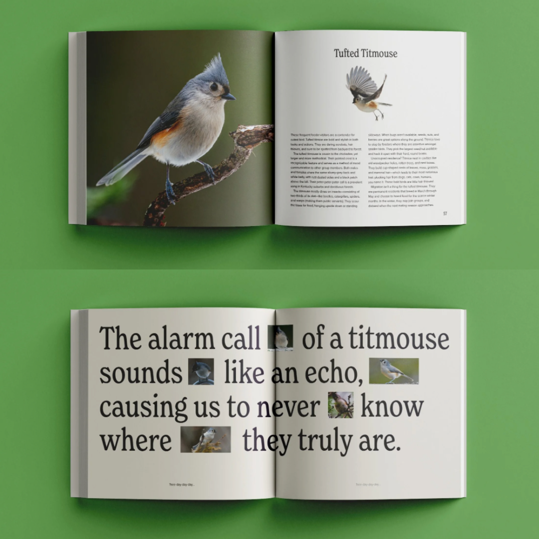 Backyard Birds of Kentucky