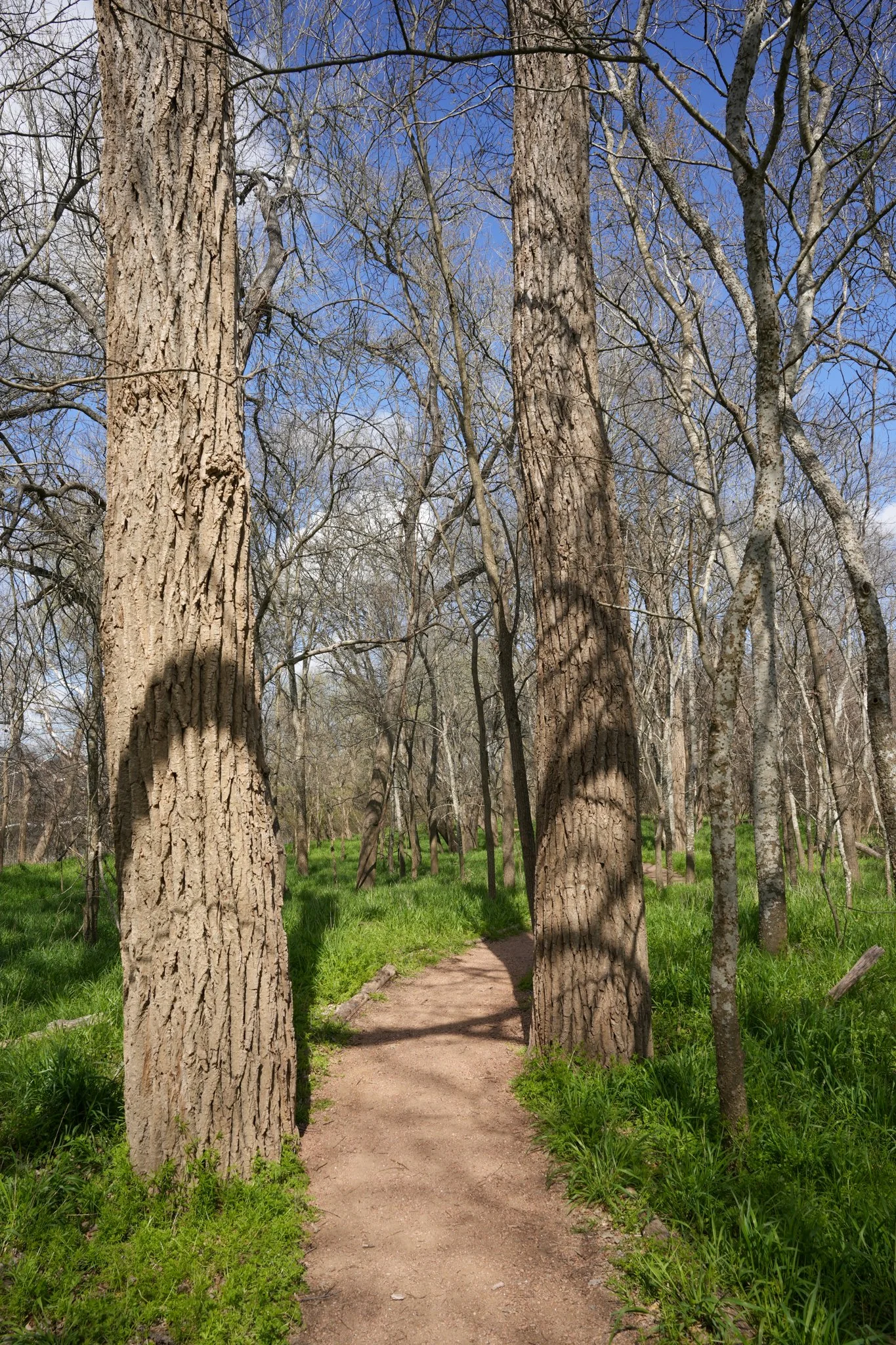 cottonwood-kings-trail-colorado-river-refuge-13.jpg