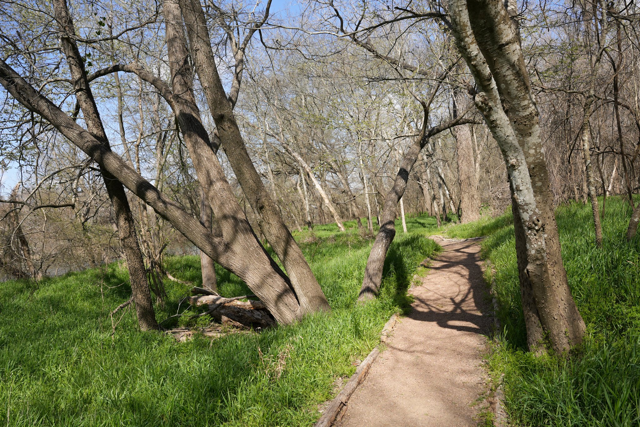 cottonwood-kings-trail-colorado-river-refuge-15.jpg