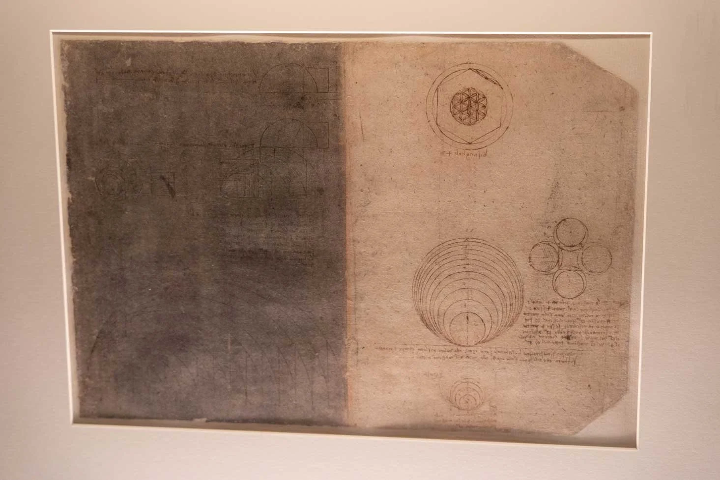 leonardo-da-vinci-sketch-codex-atlanticus-5.jpg