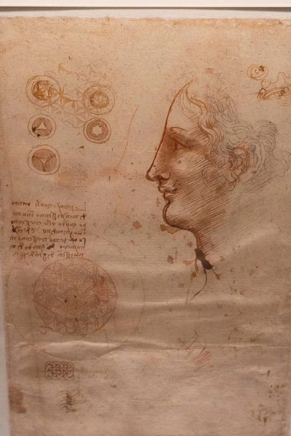 leonardo-da-vinci-sketch-codex-atlanticus-3.jpg