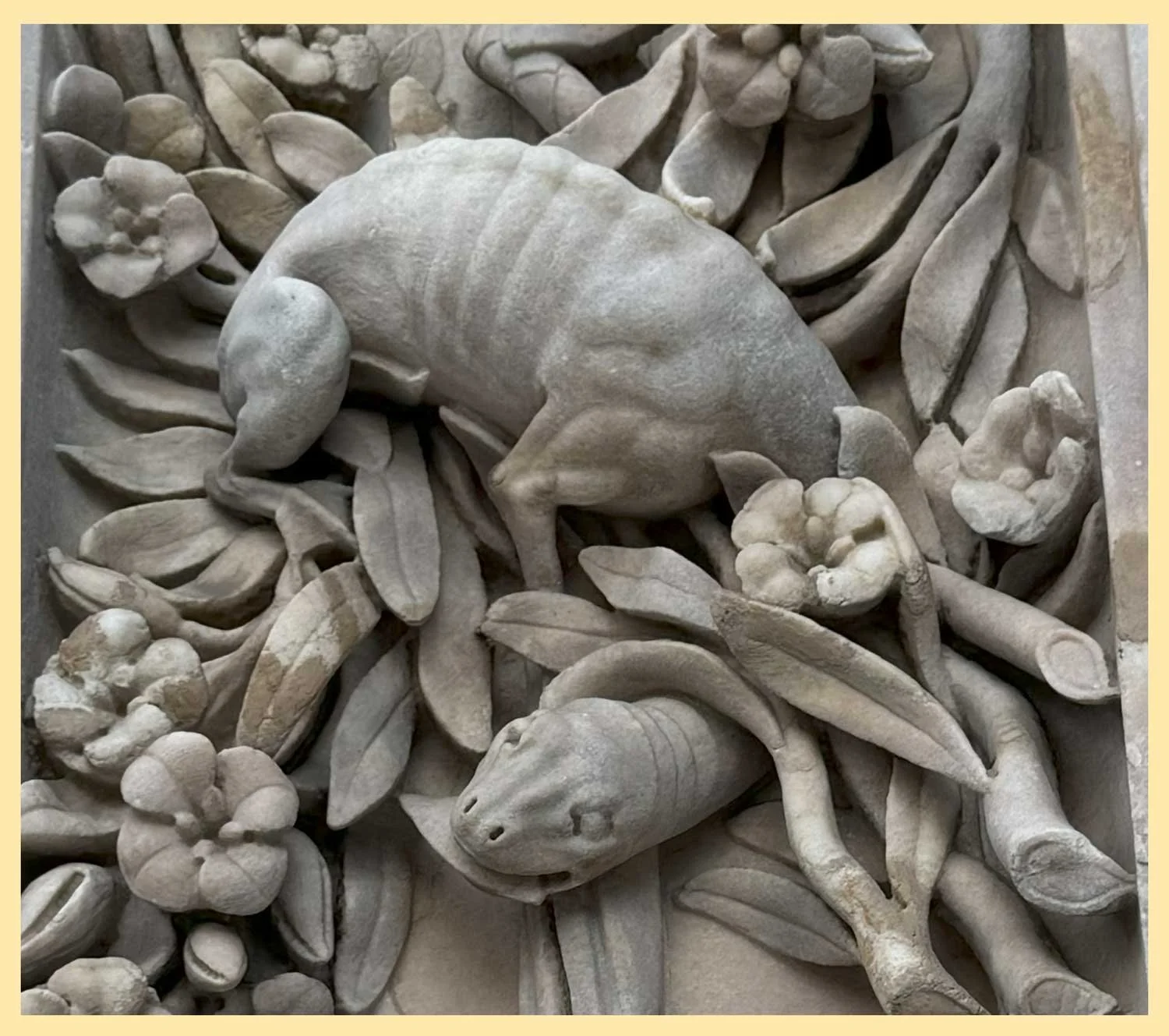 tarantasio-dragon-duomo-di-milano.jpg