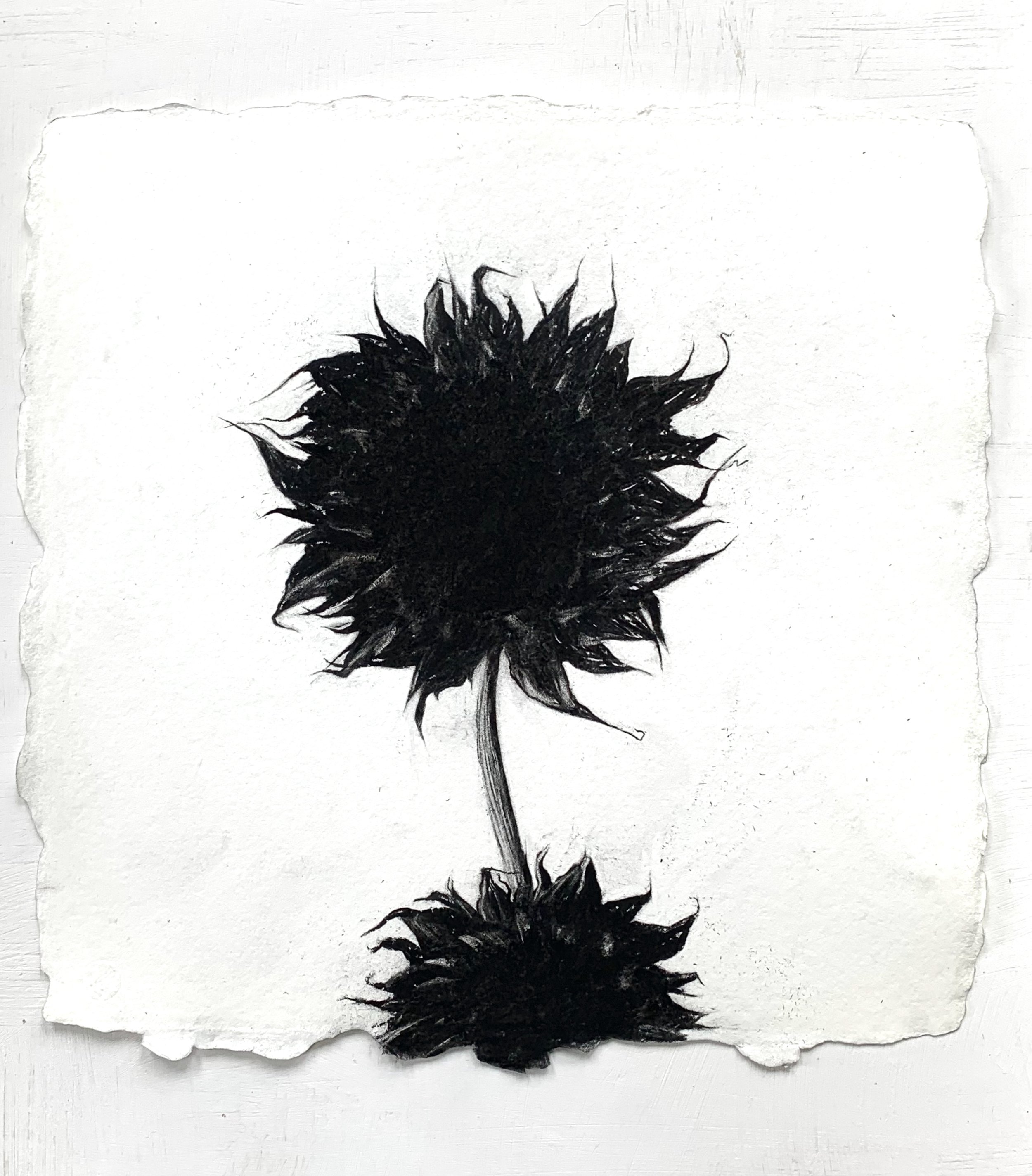 Kathy Moss