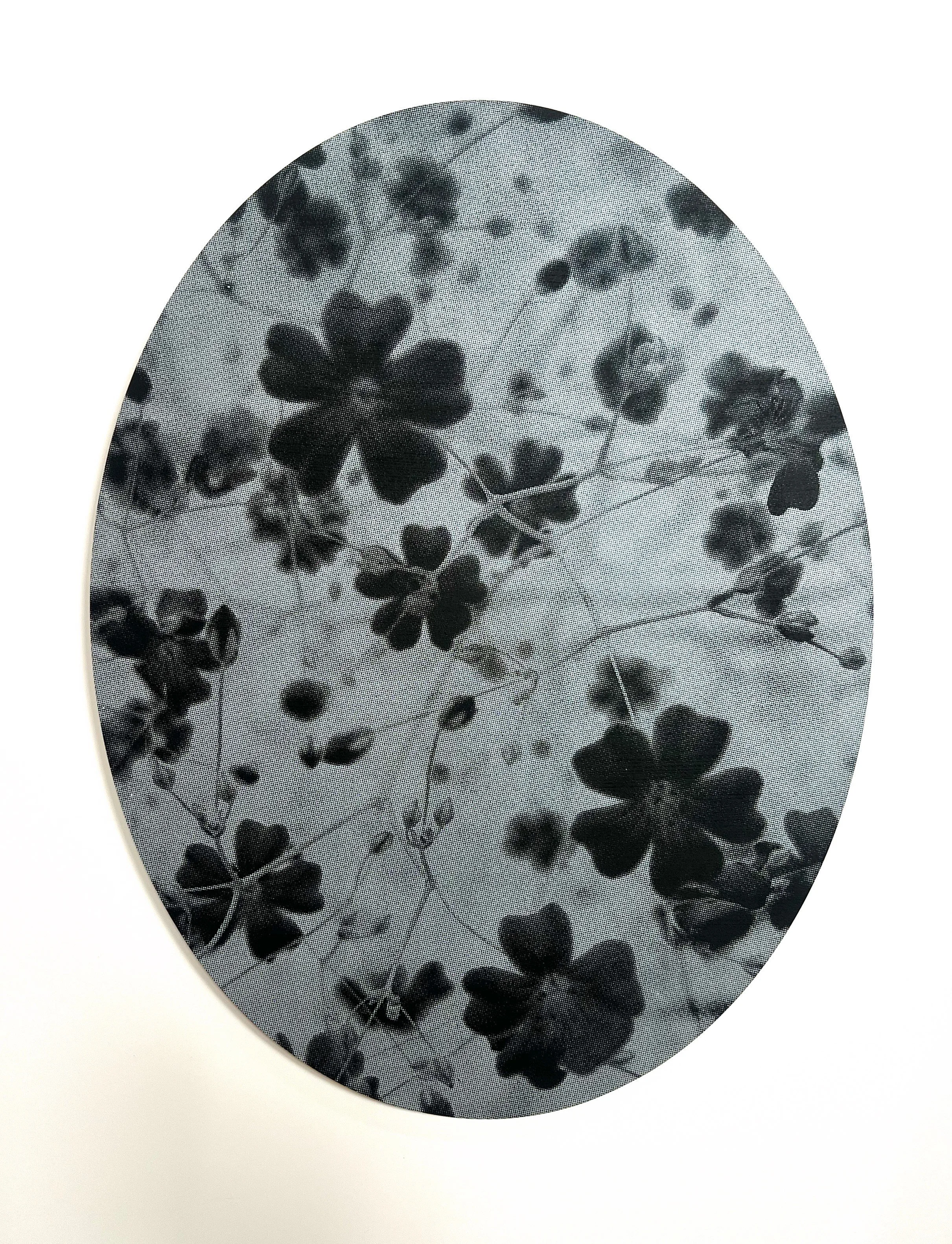 Eve Biddle