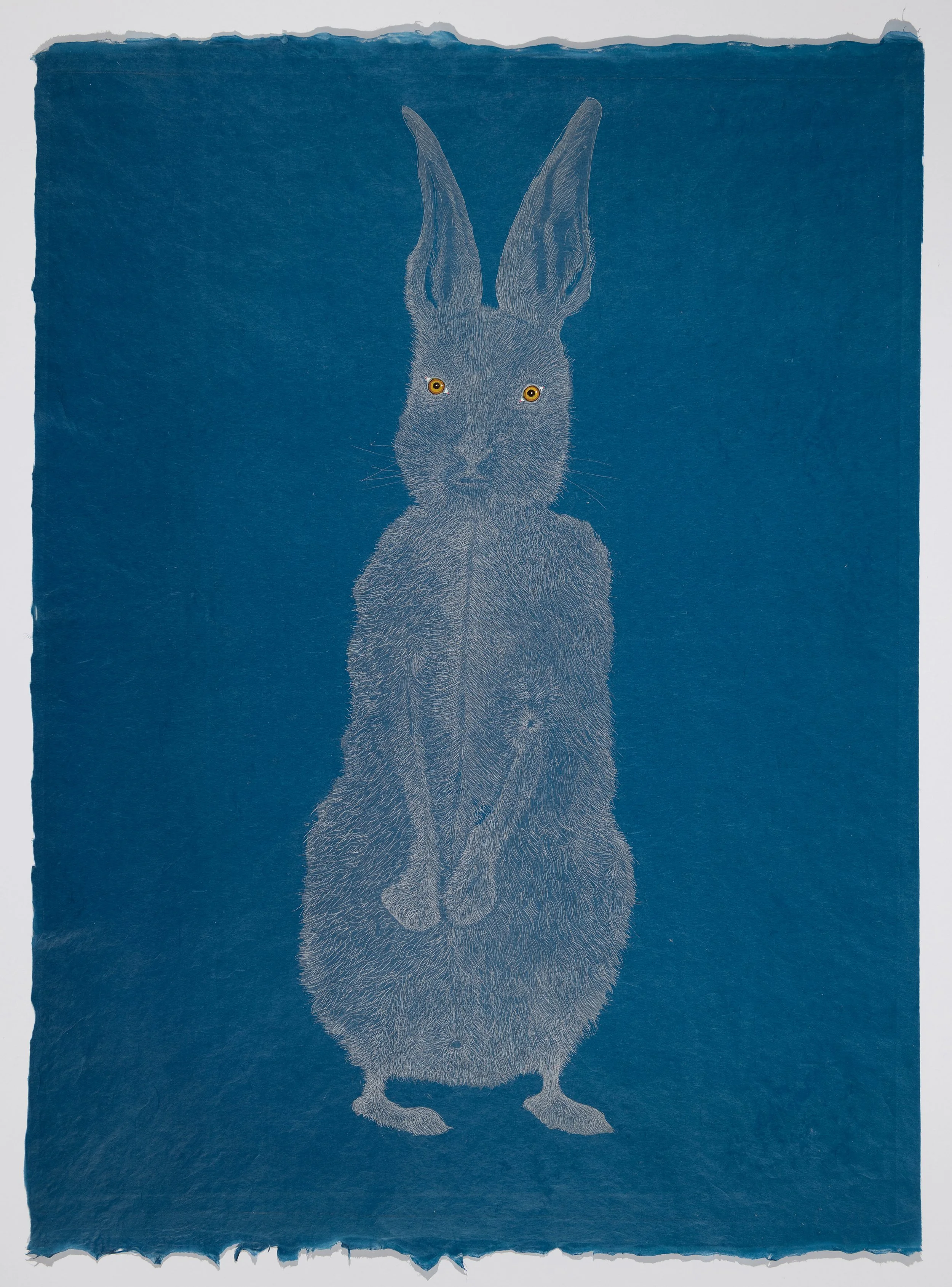 Hare