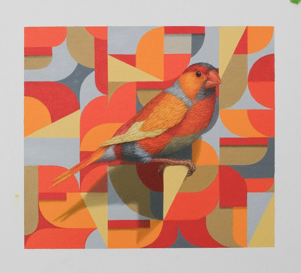 Clive Smith Pattern Migration Finch Red Orange Gold.jpeg