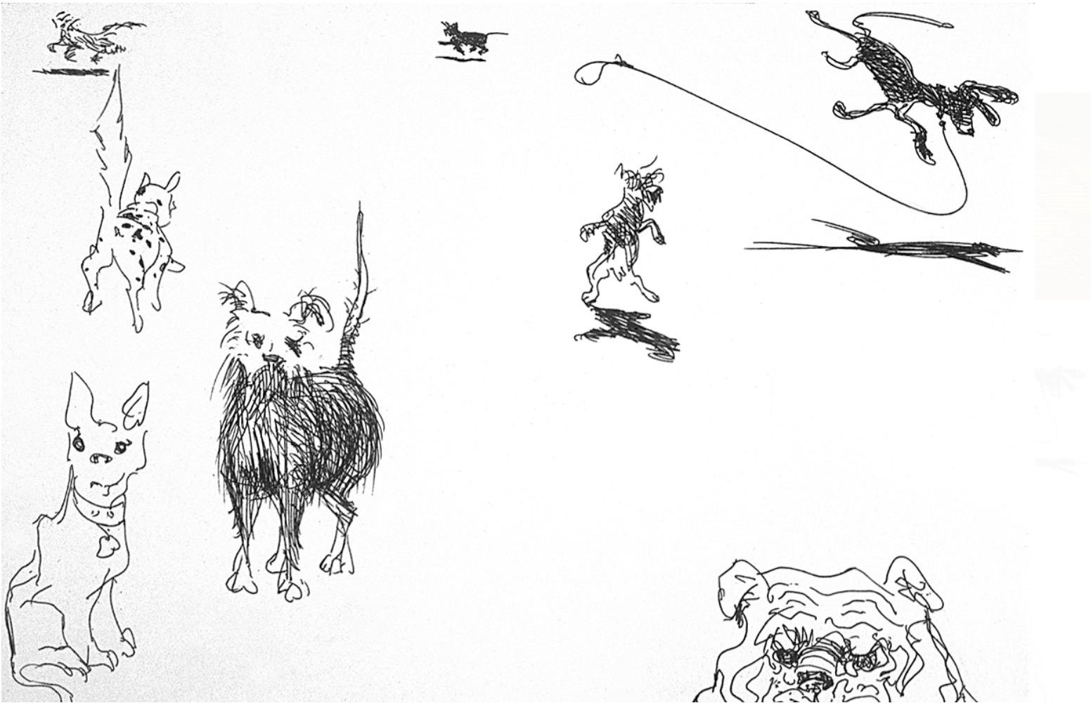 Eight Dogs