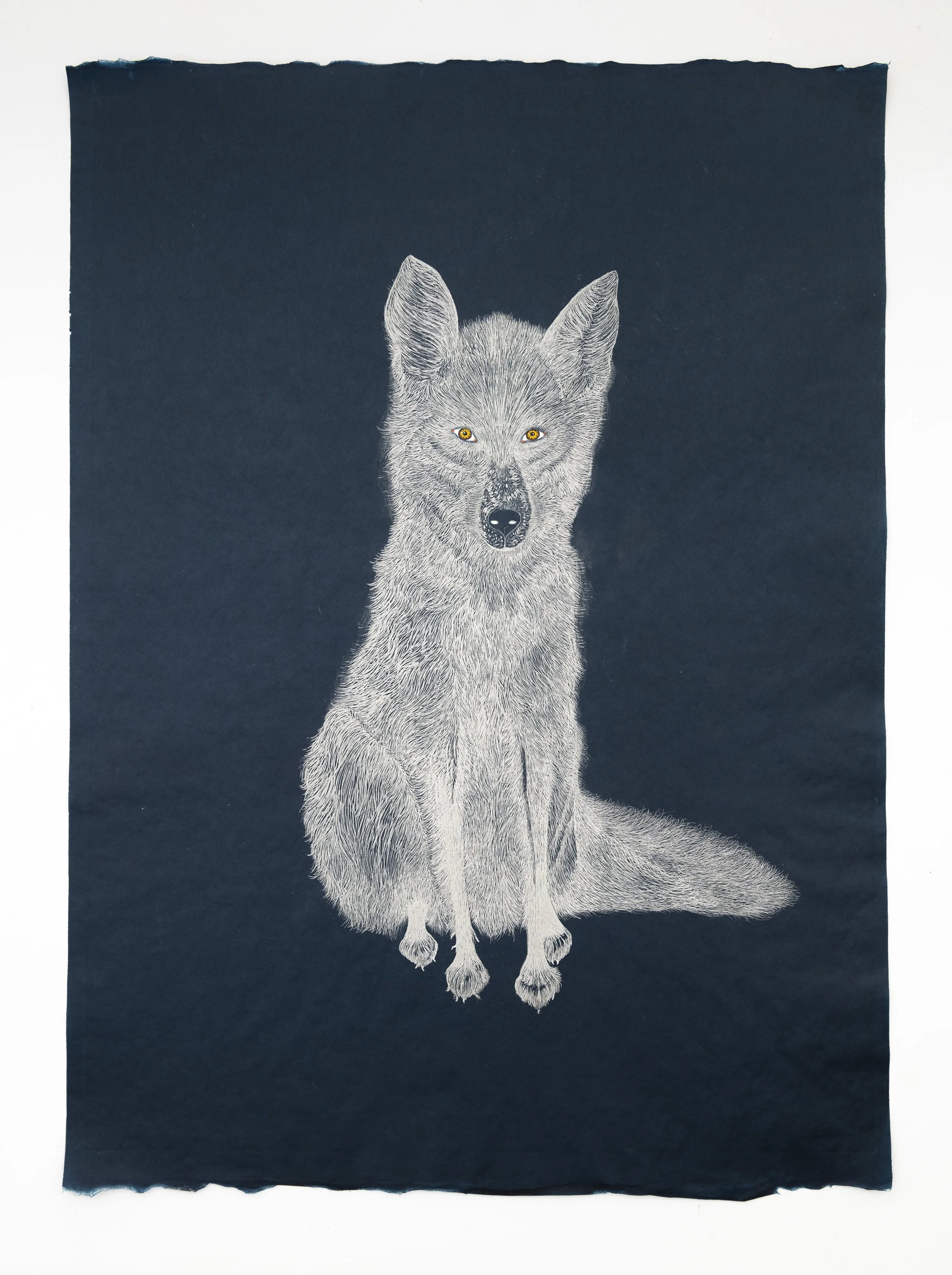Fox Brown Eyes