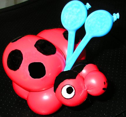 Ladybug_sm.jpg