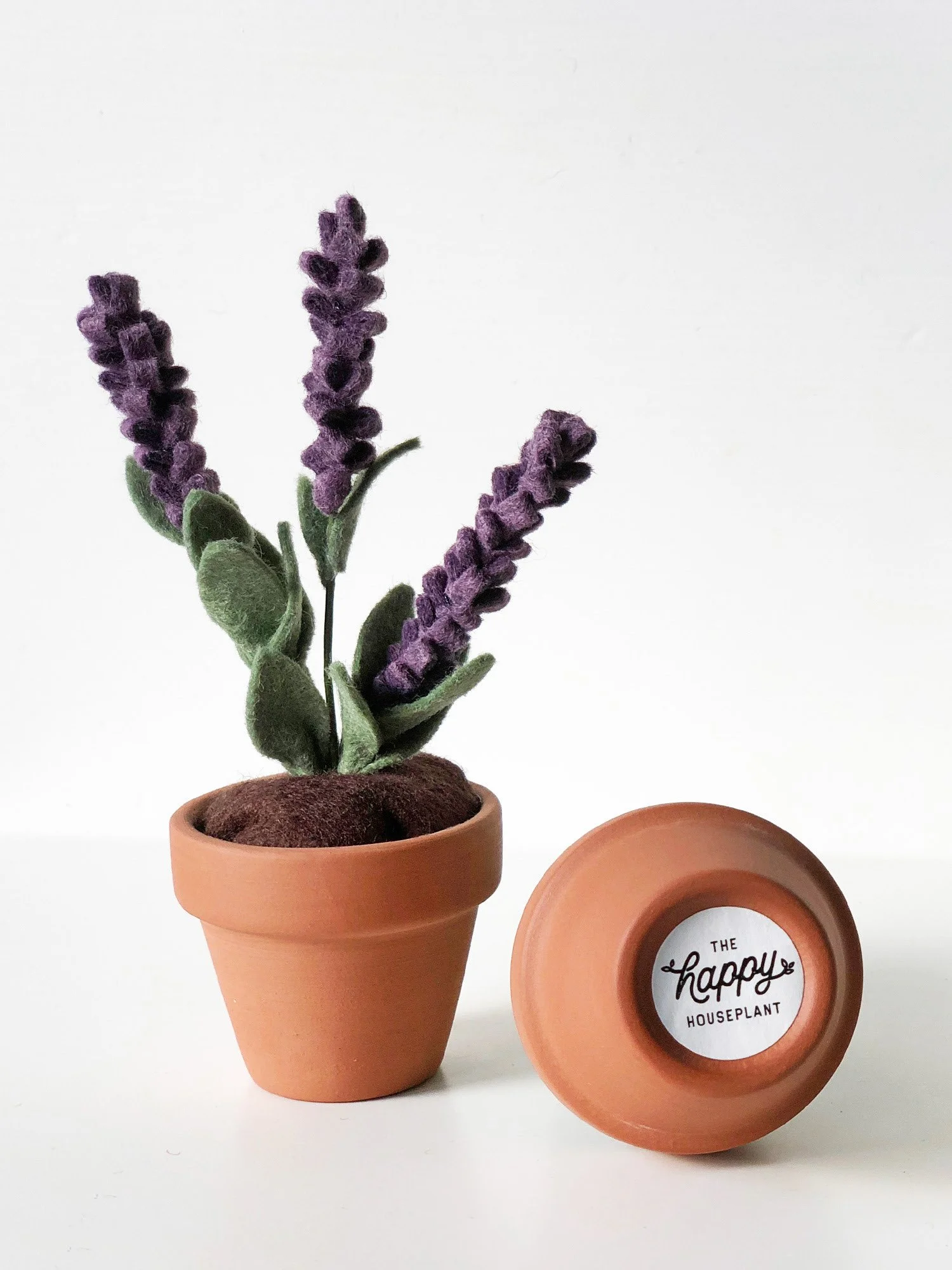 Lavender.jpg