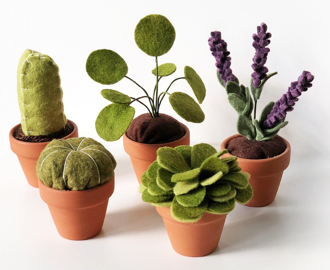 Plants.jpg