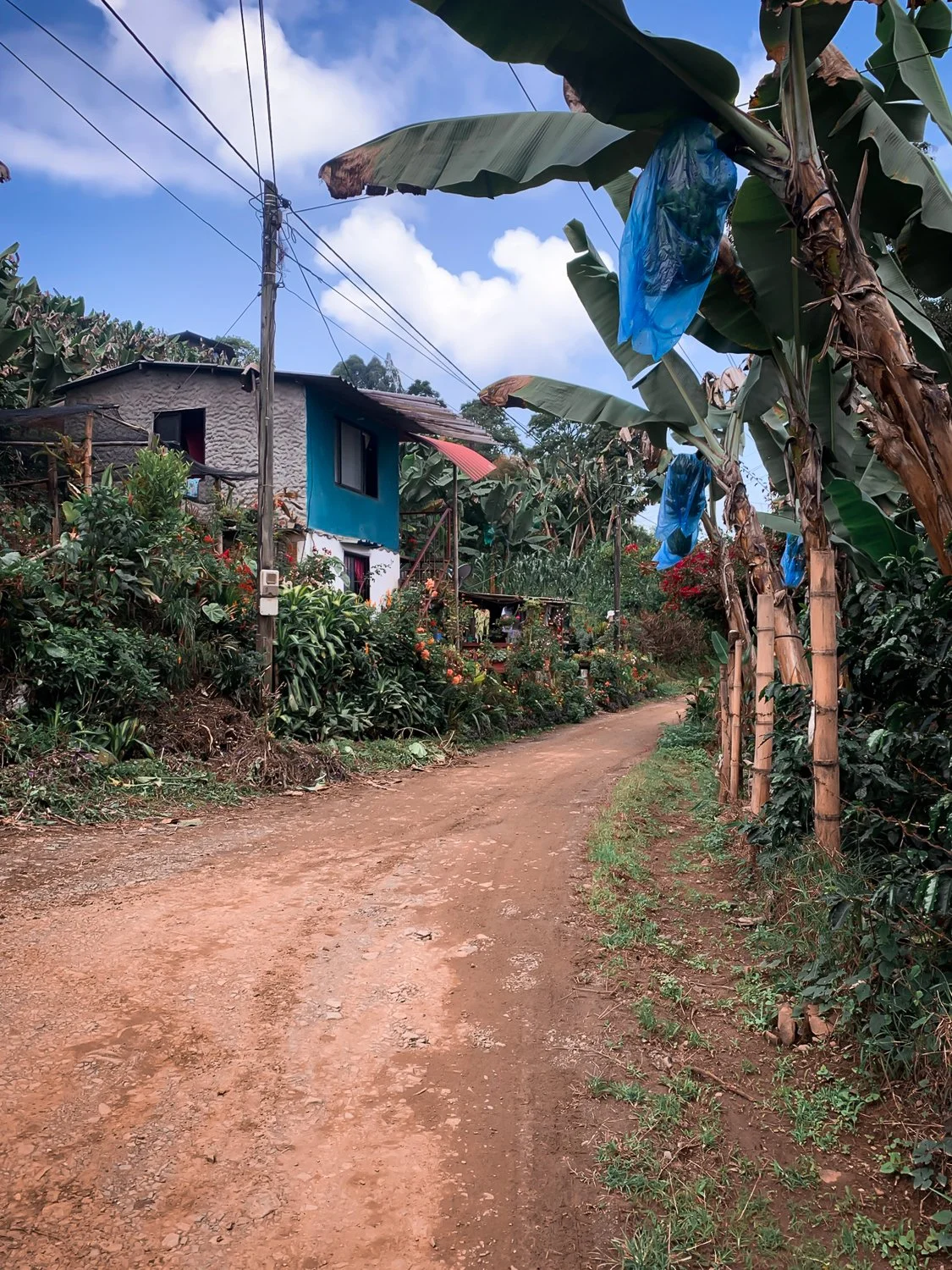 hiking jardin colombia