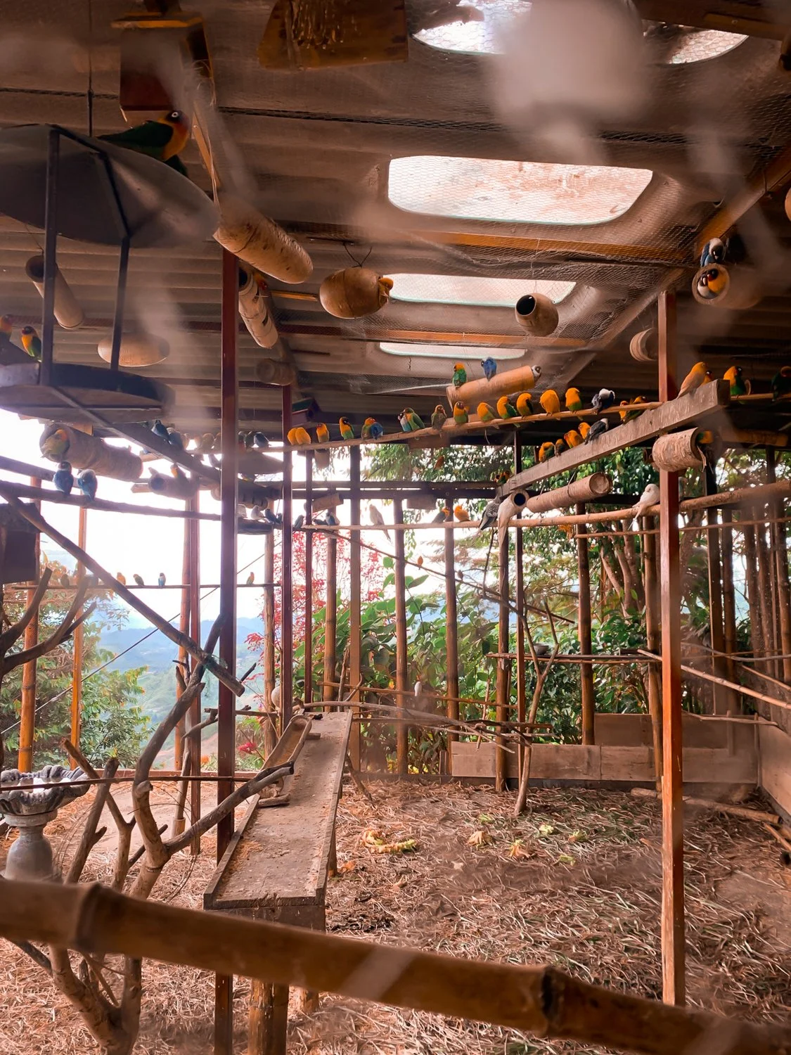bird sanctuary manizales