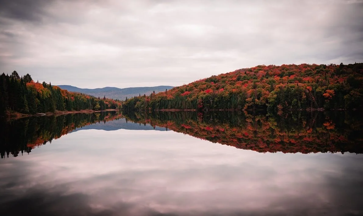 The first time in my life I&rsquo;ve seen colors like this&hellip; a true Autumn on the East Coast, a real season. I&rsquo;m in awe. 
🍁 🍂  Sincerely, a deprived Southern California native.