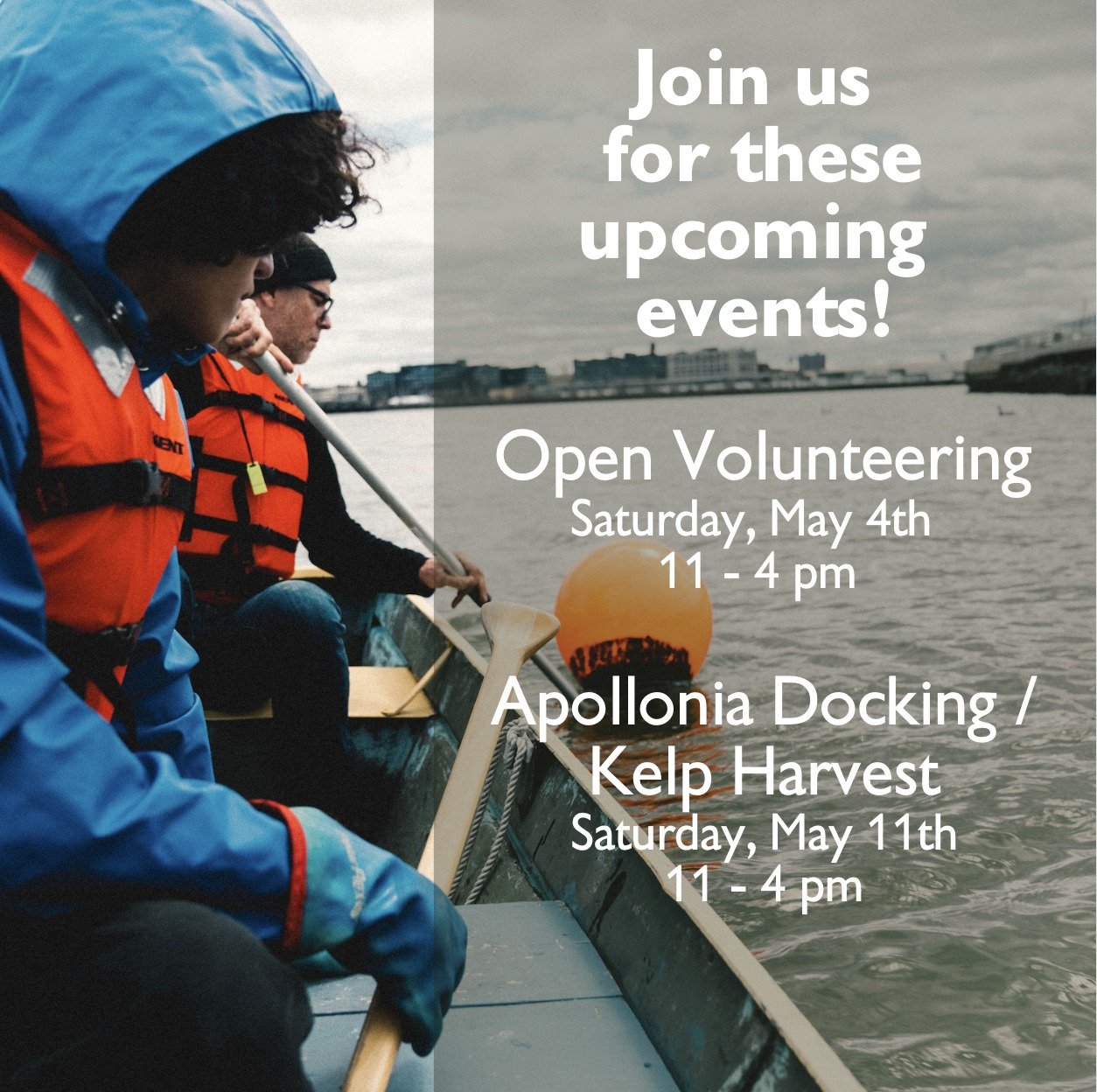 Want to volunteer with RETI Center? Join us and get your hands dirty during our upcoming events!

Open Volunteering - Saturday, May 4th. From 11am to 4pm

@schooner_apollonia is docking at the field station on the day of our kelp harvest! - Saturday,
