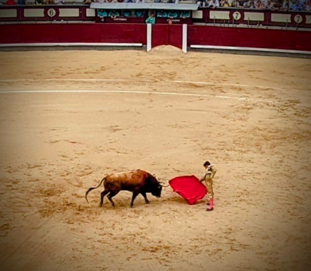 The Art That is Bullfighting