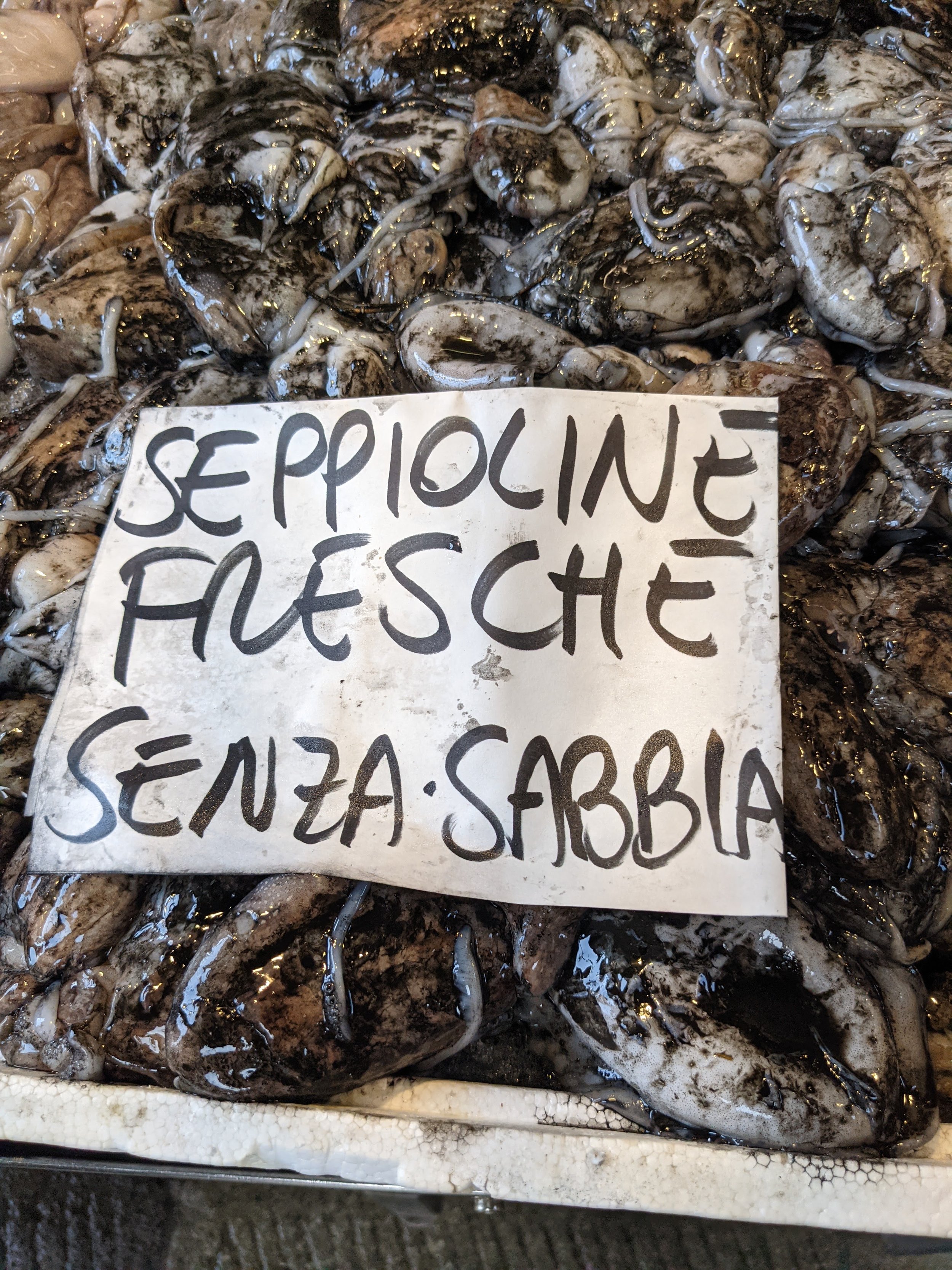  Fresh whole squid at the market in Venice 