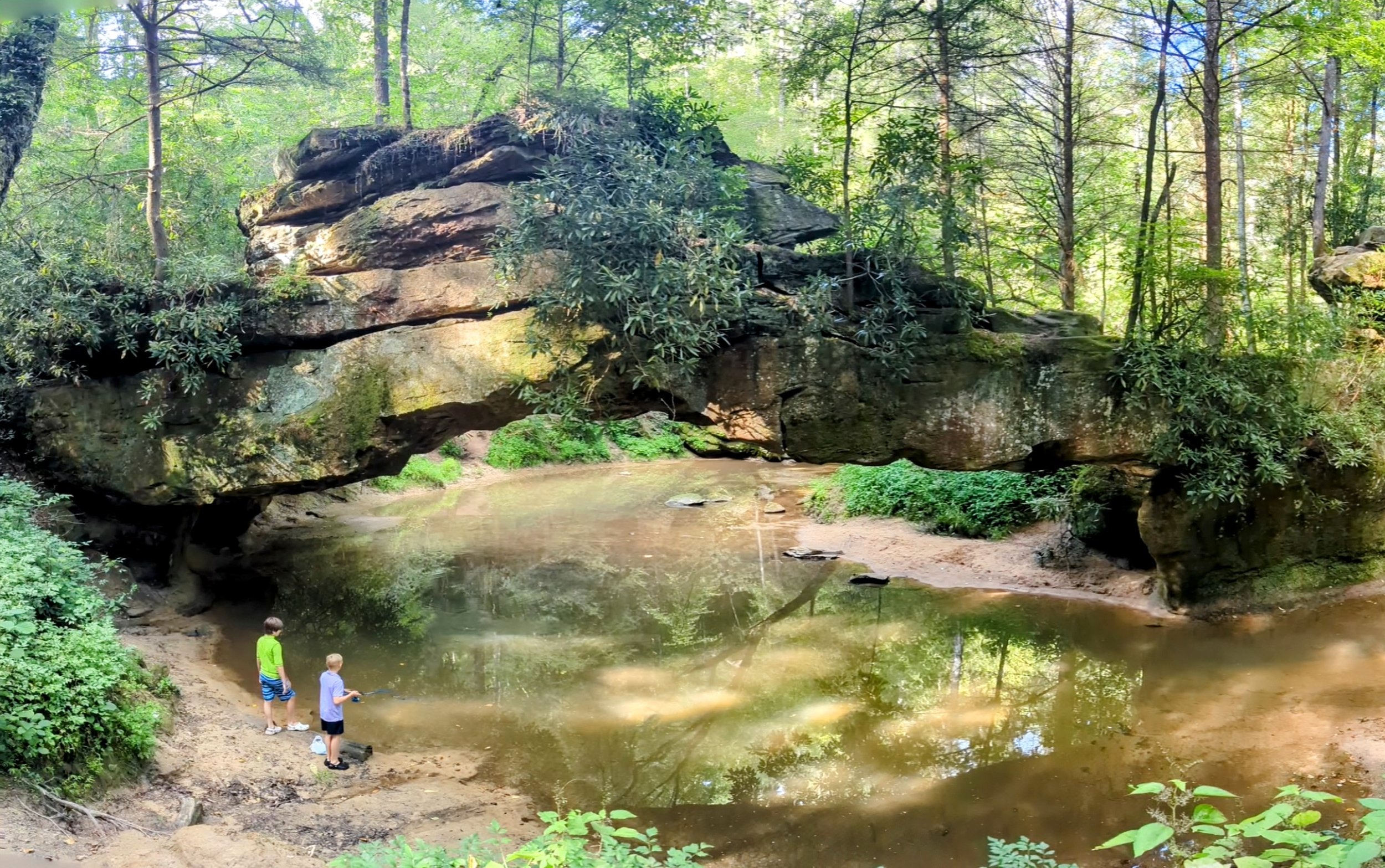 The best hike for kids in the Red River Gorge: Rock Bridge and Creation Falls