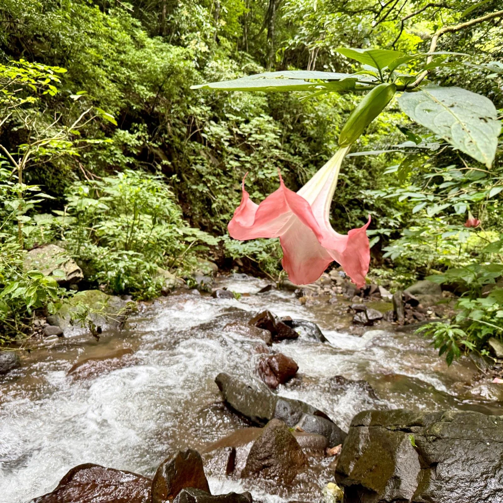 WhatsApp Image 2026-04-13 at 12.49.30 PM (4).jpeg