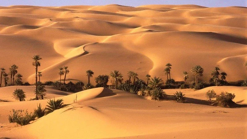 Bahariya-Oasis.jpg