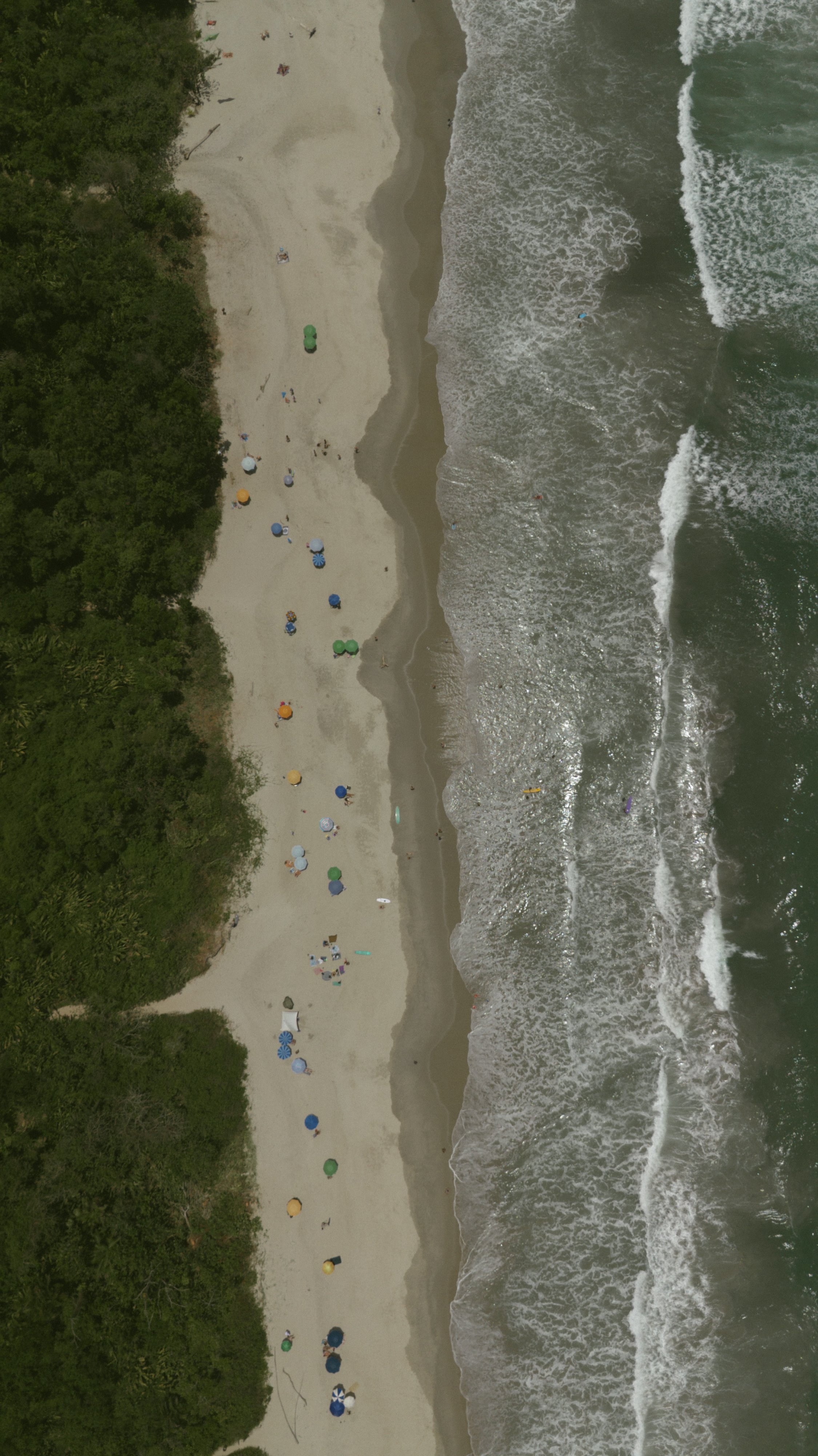 Vista aérea de una playa con arena clara, cubierta con sombrillas de colores, y rodeada de vegetación, con olas en el mar en el lado derecho.