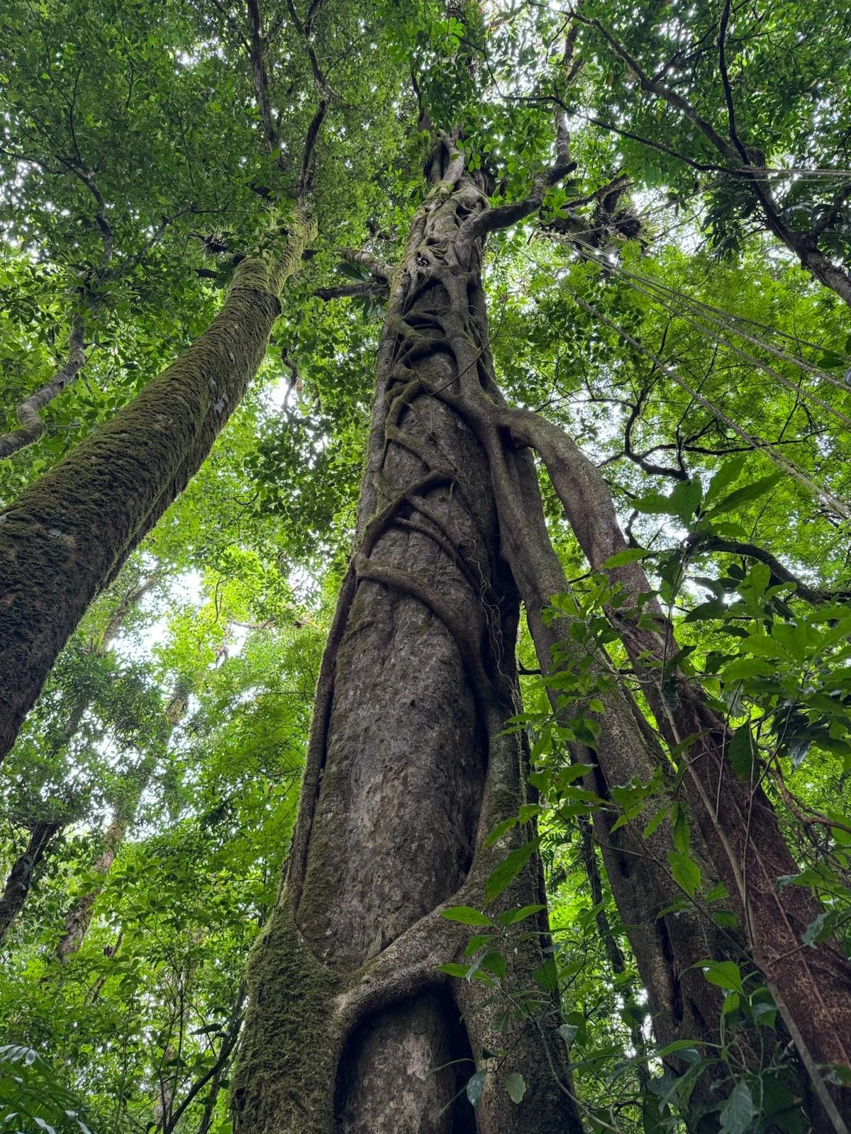 WhatsApp Image 2026-04-13 at 12.49.29 PM (3).jpeg