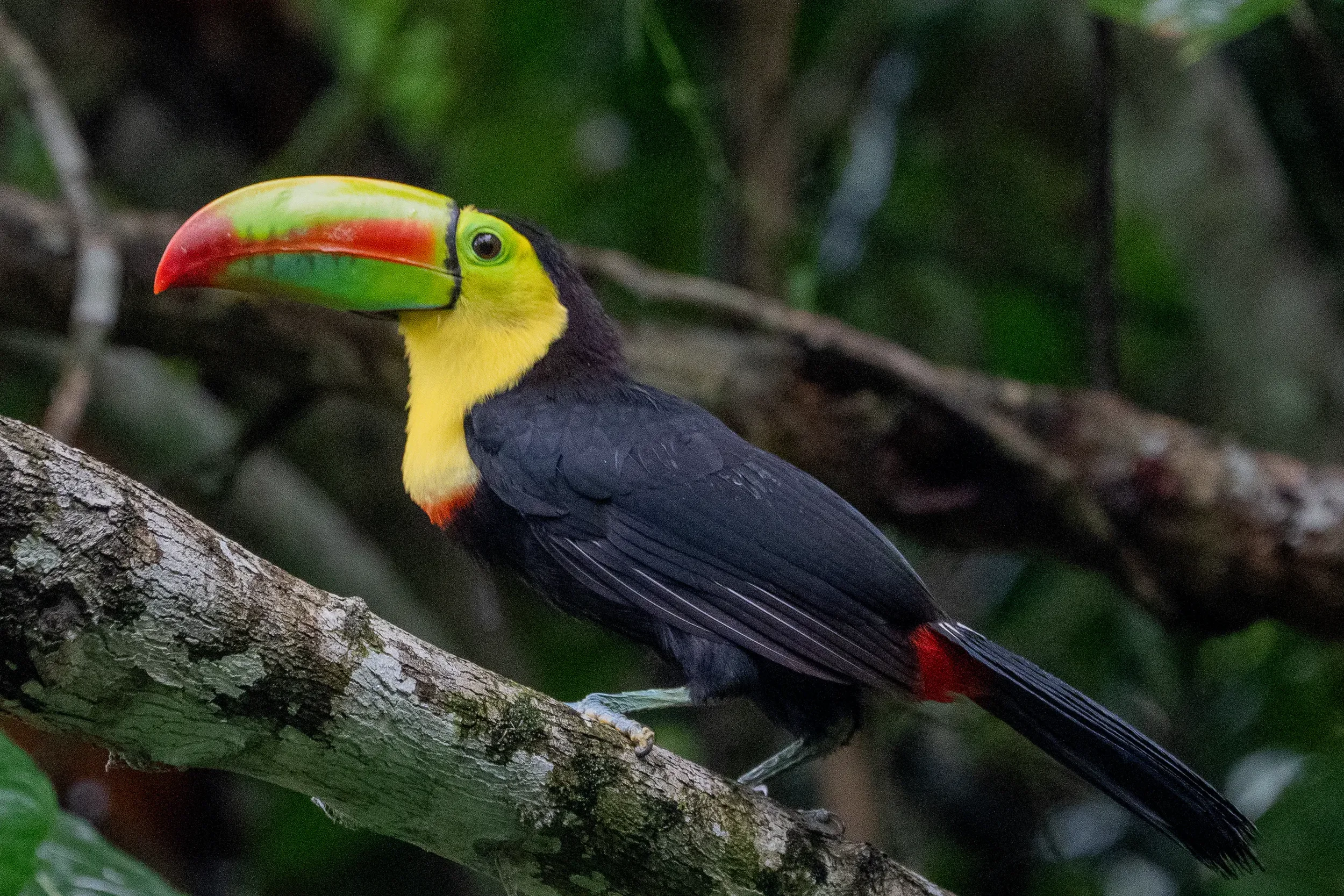 19_fauna-y-flora_ColinaSecreta_030.webp