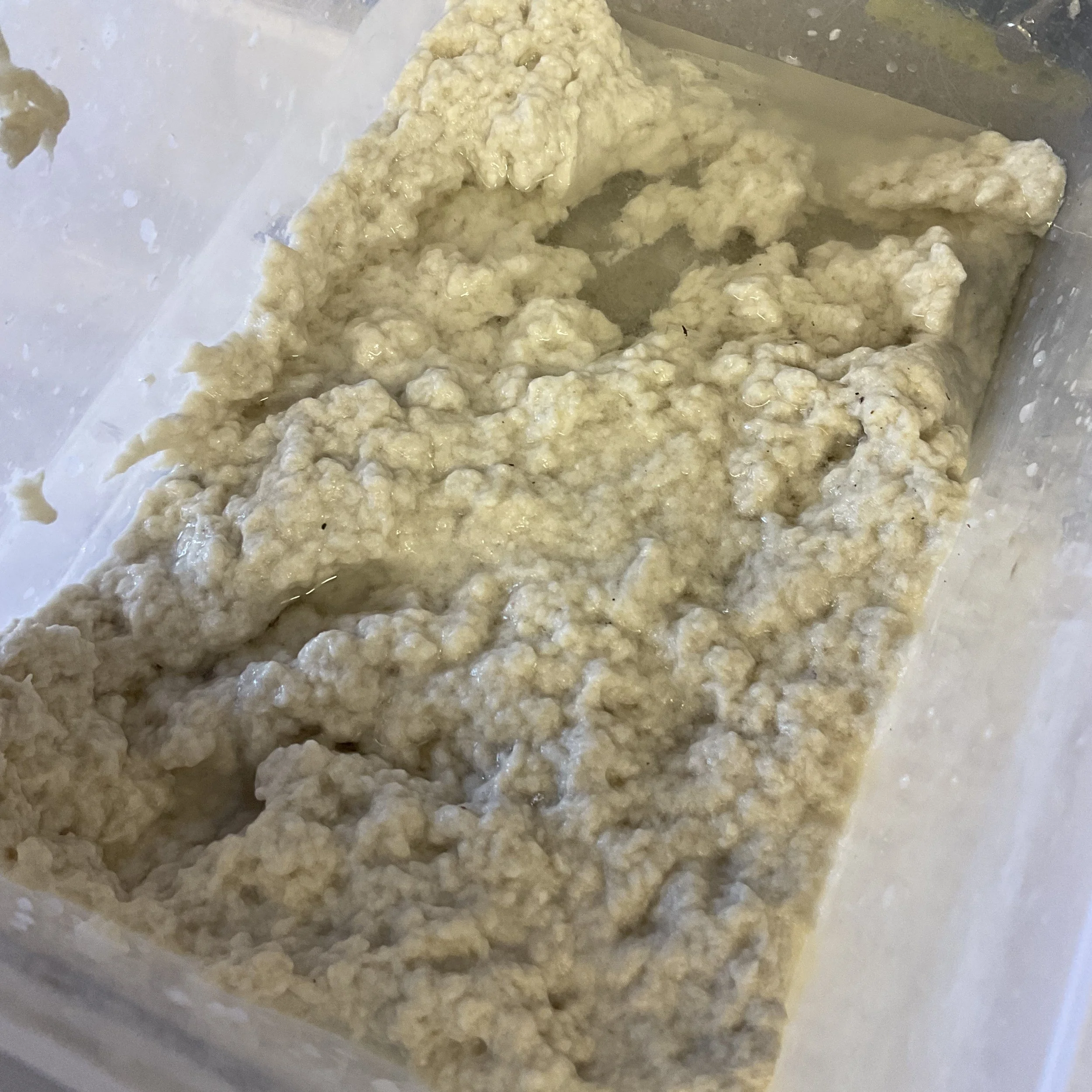 PaperPulp.jpg