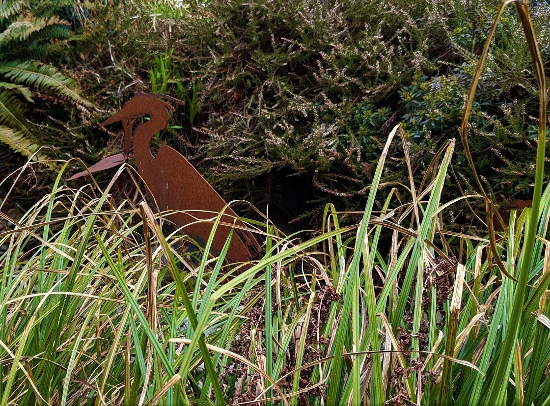carex+dry+stream+bed+%282%29.jpg