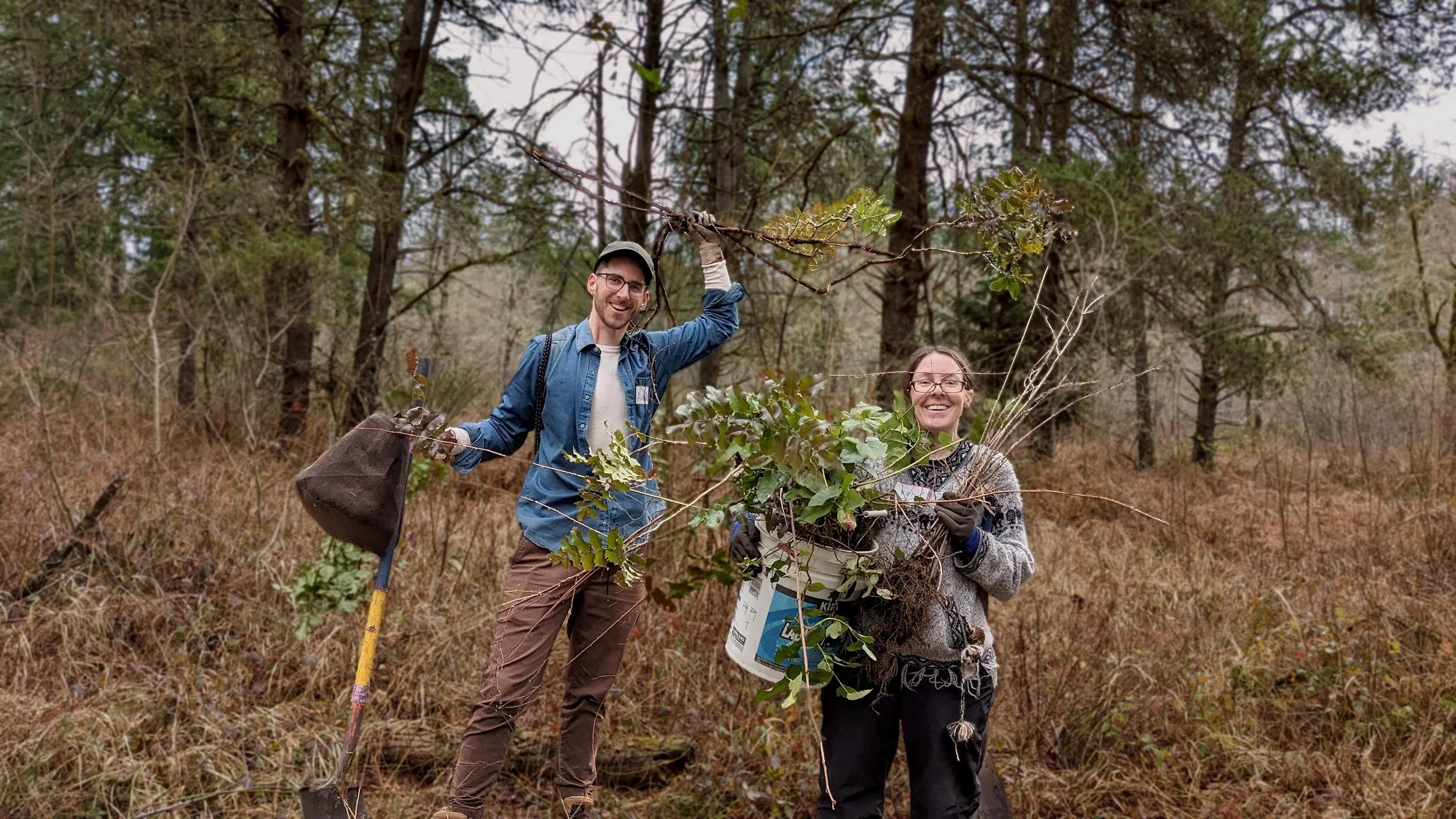 Native Plant Salvage #3