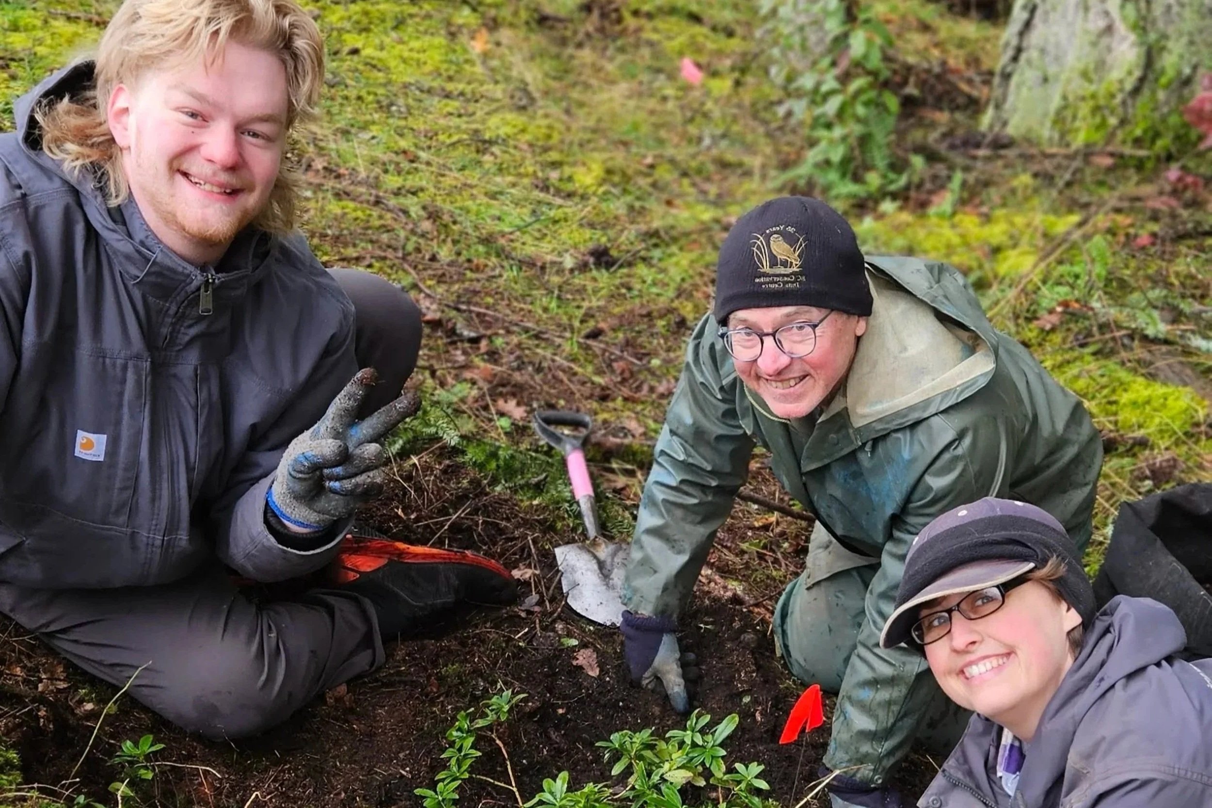 Native Plant Salvage #1