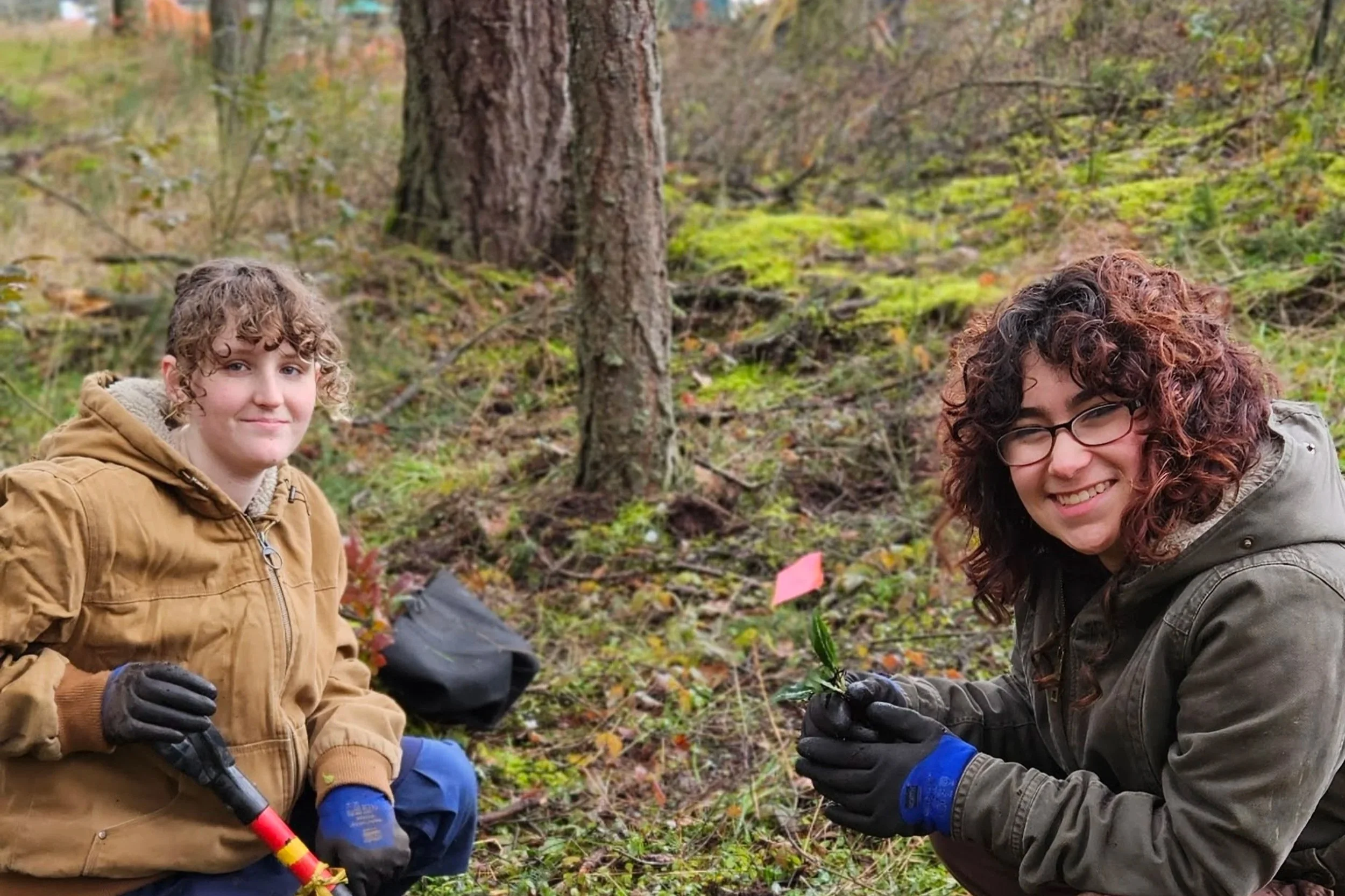 Native Plant Salvage #2