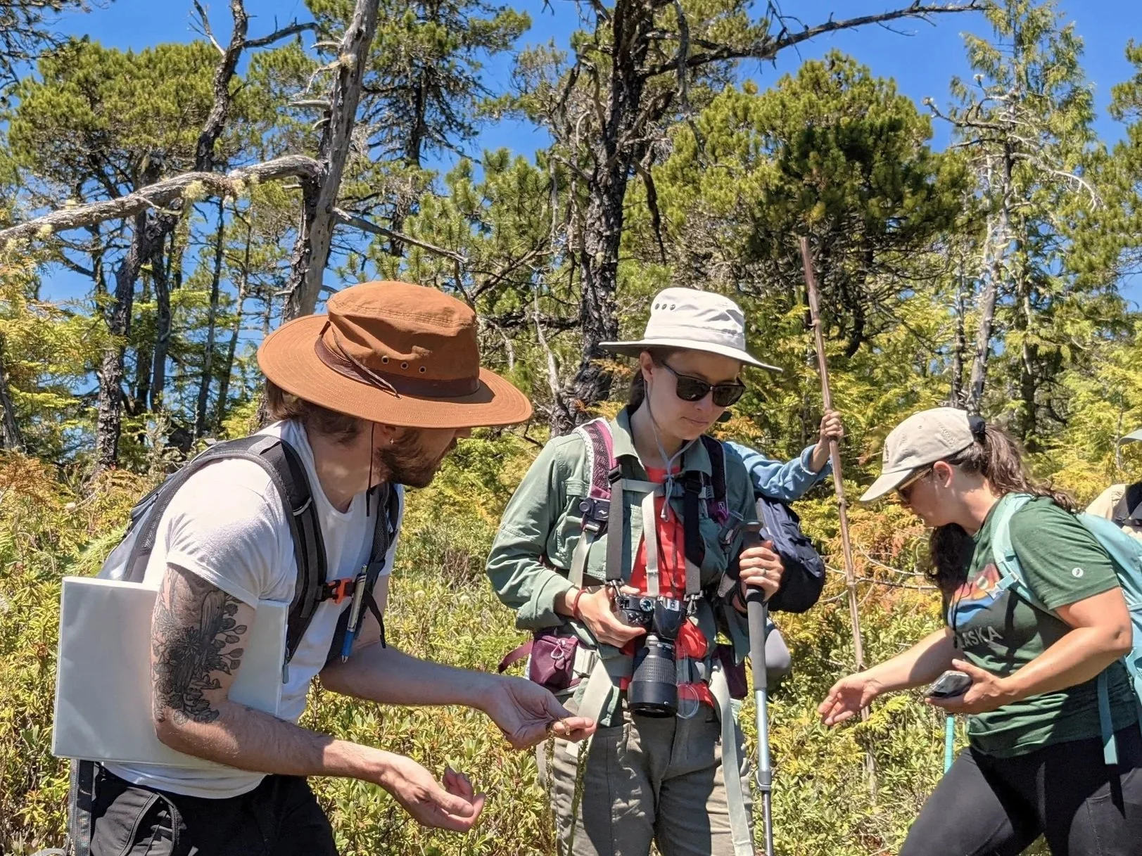 Eco-Excursion - Peatland Ecosystem