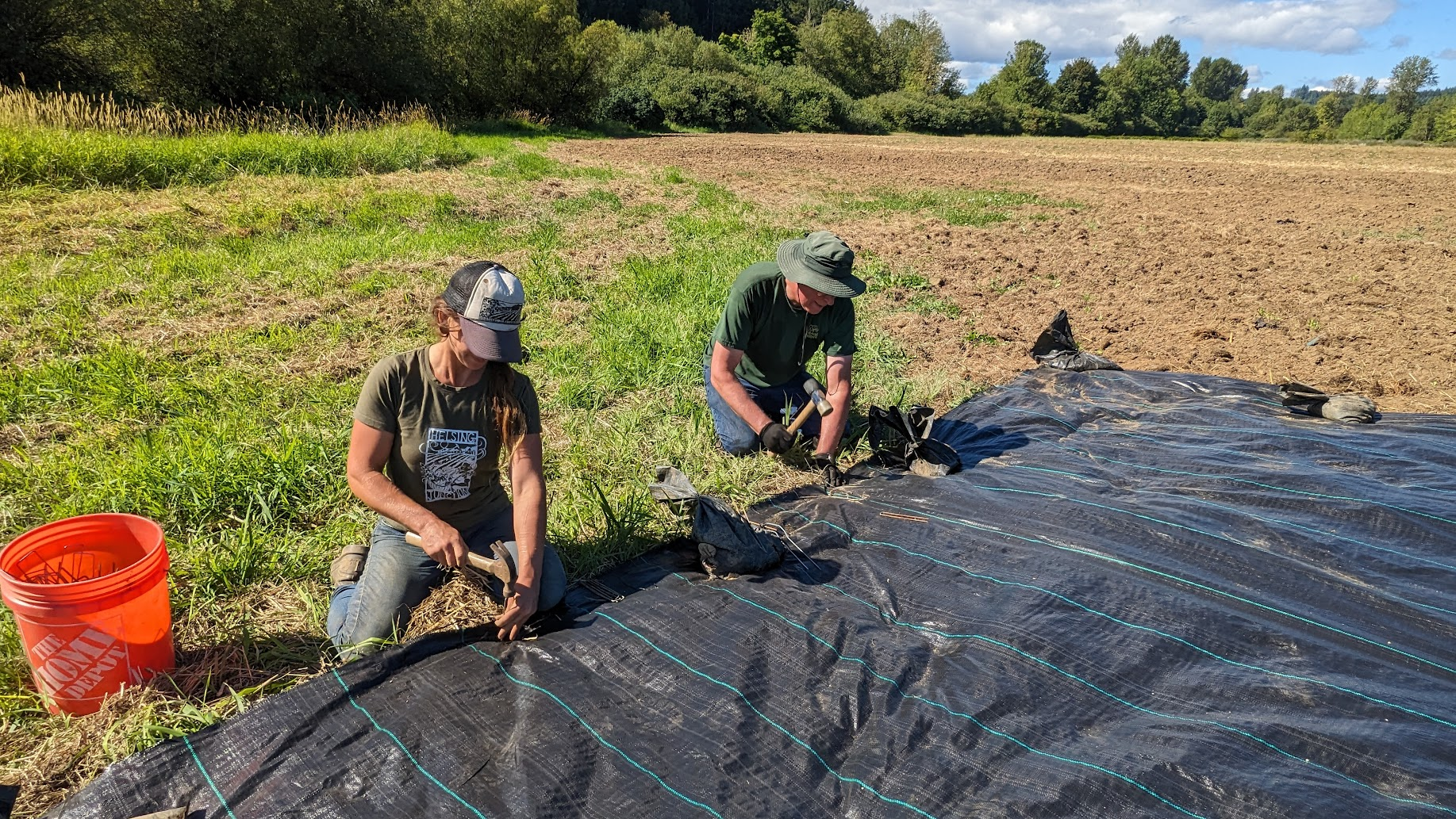 Broadfields Hedgerow Edge - Weed Barrier Establishment
