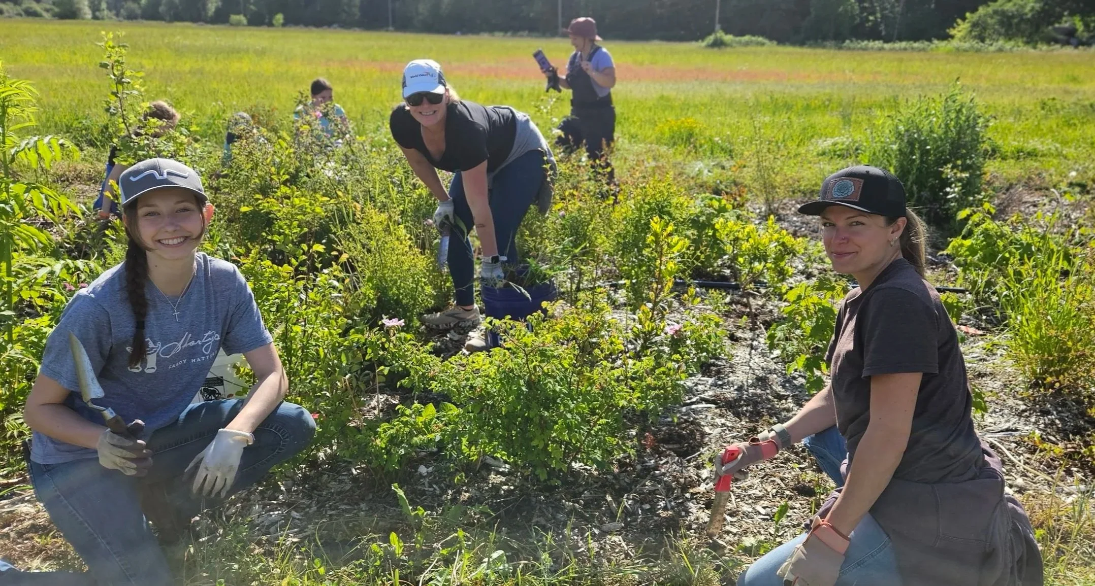 Maintenance Party at Helsing Junction Farms