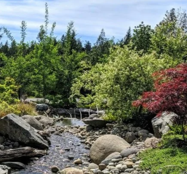 Naturescaping for Water & Wildlife (Online Course)
