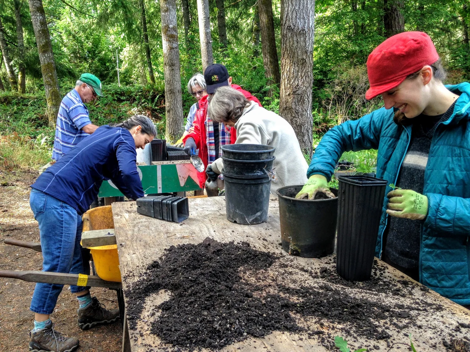 Native Plant Salvage Foundation