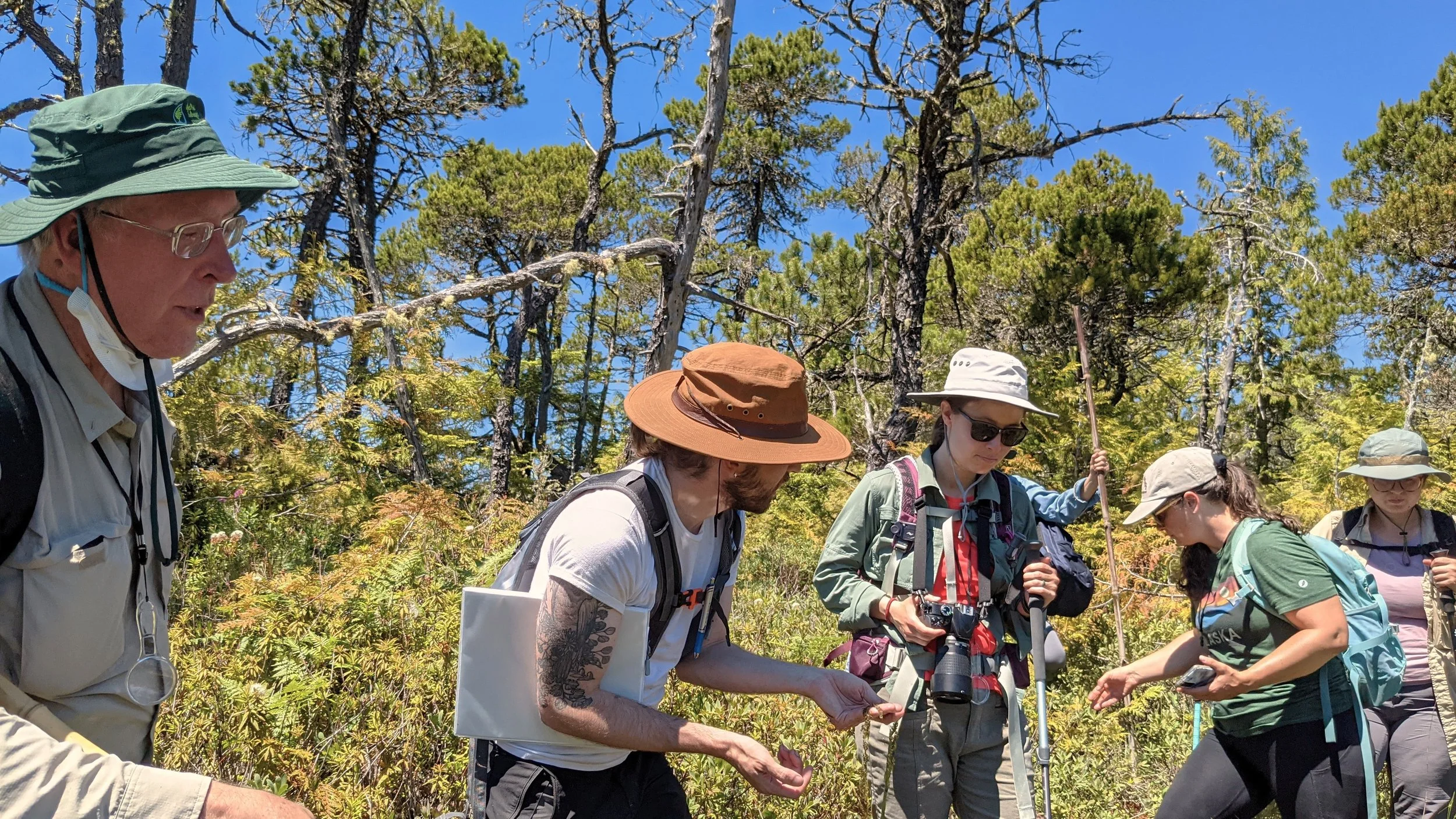 Excursion - Peatland Ecosystem