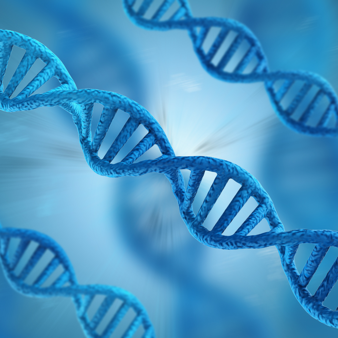 Genetic SNPs Associated With Obsessive-Compulsive Disorder