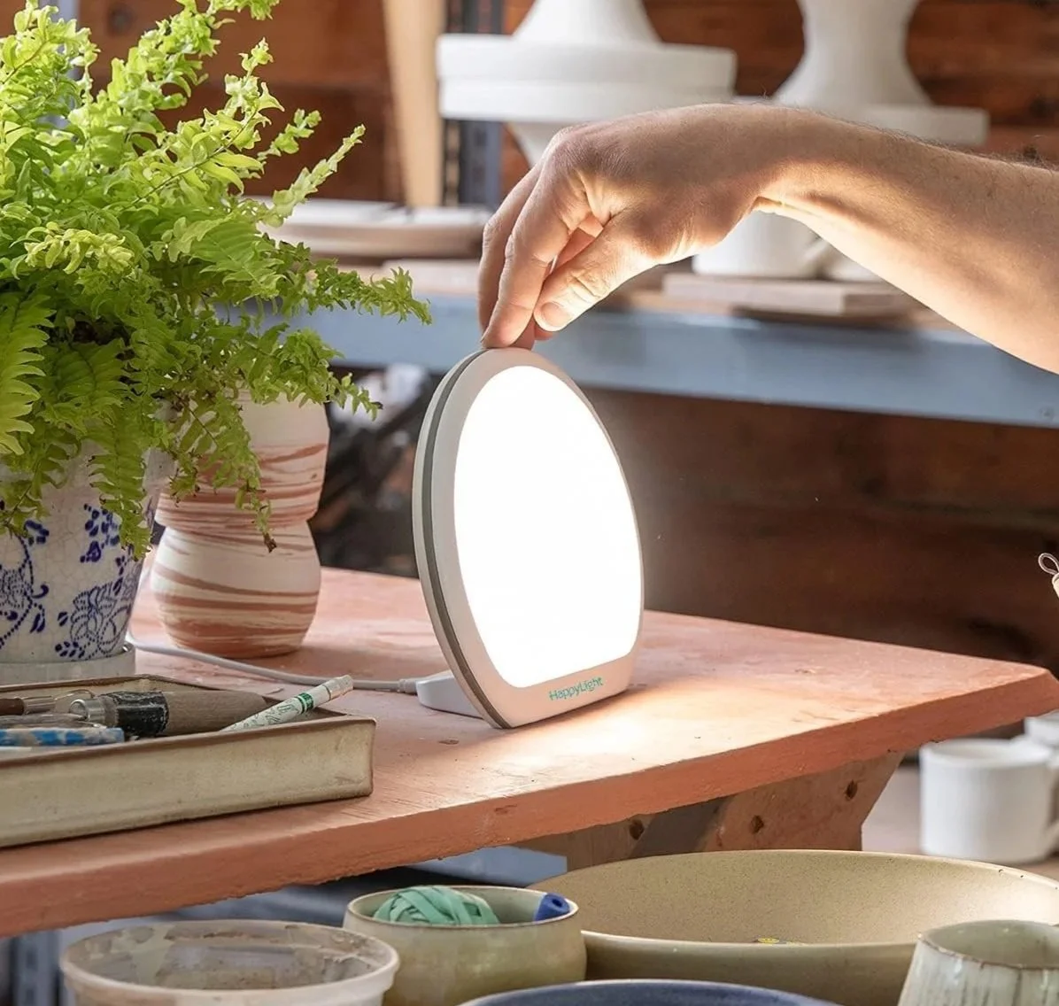 Seasonal Affective Disorder (SAD): Support for Seasonal Depression 