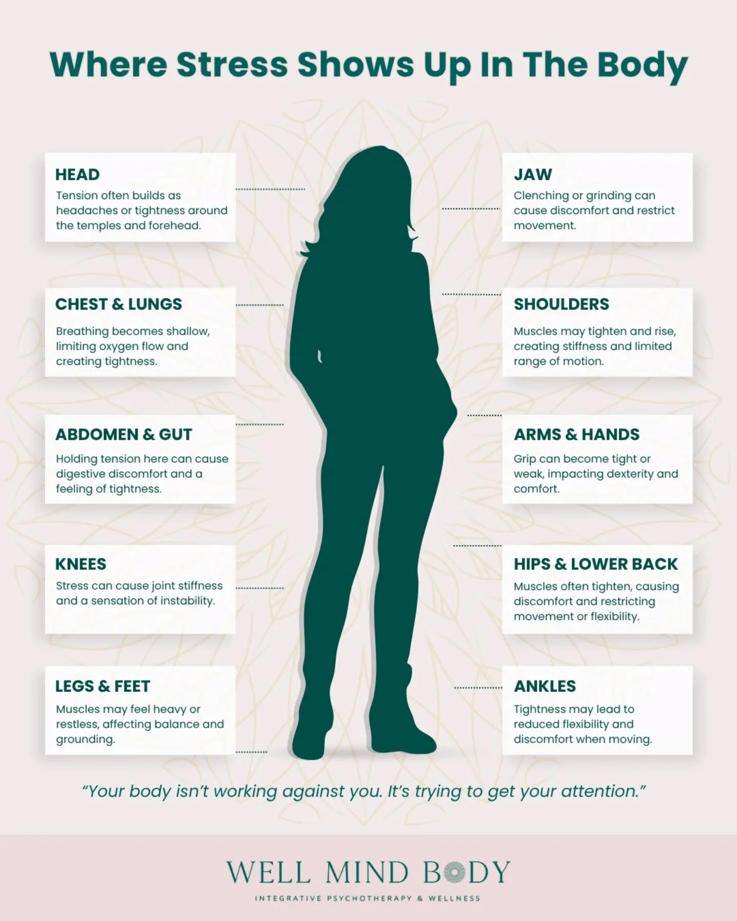 Stress doesn&rsquo;t just affect your mind. It shows up in your body. Headaches, tight shoulders, shallow breathing, or a constant knot in your stomach are all common physical signs of stress and nervous system overload.

During Stress Awareness Mont